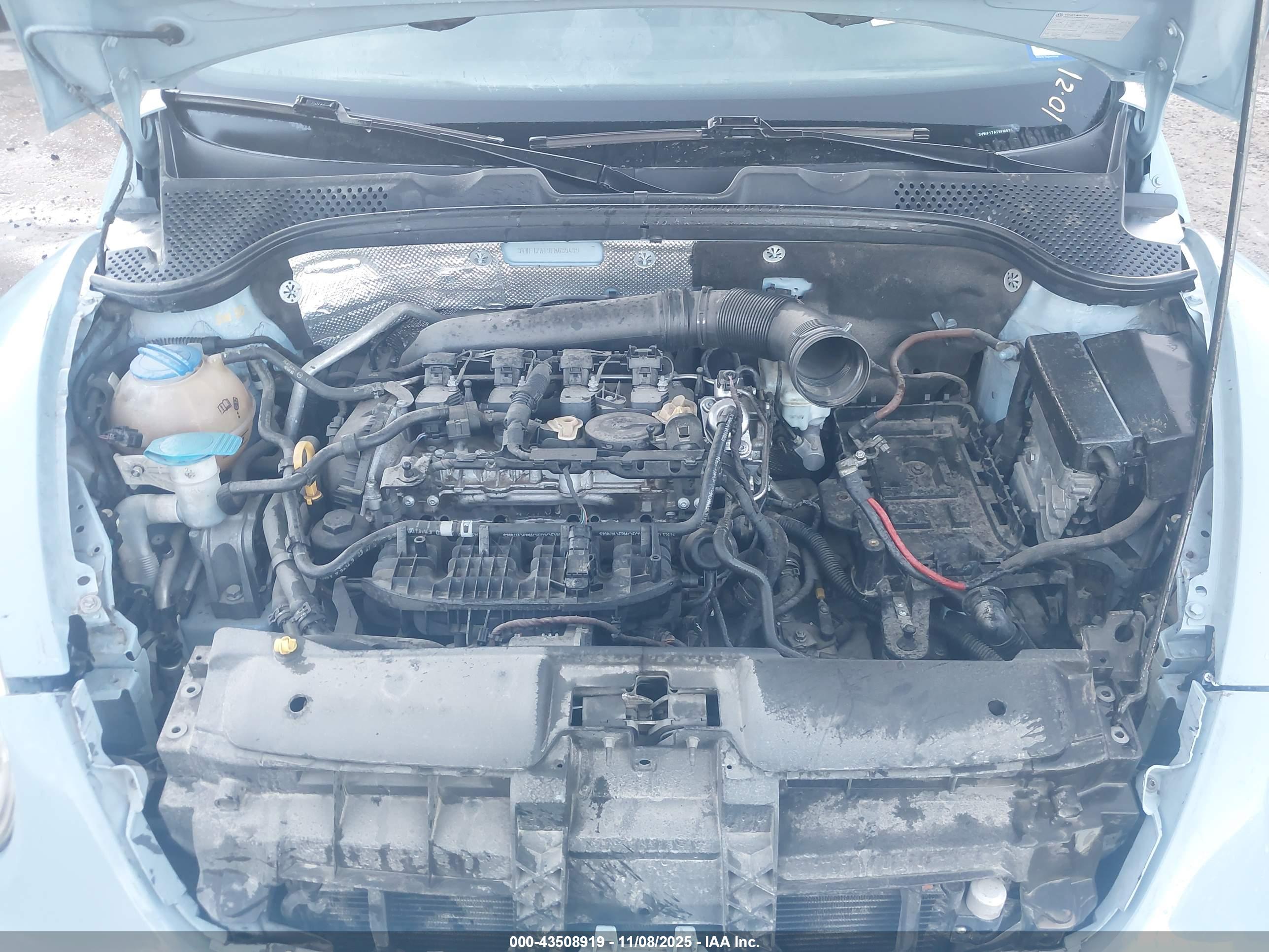 VOLKSWAGEN BEETLE image 10