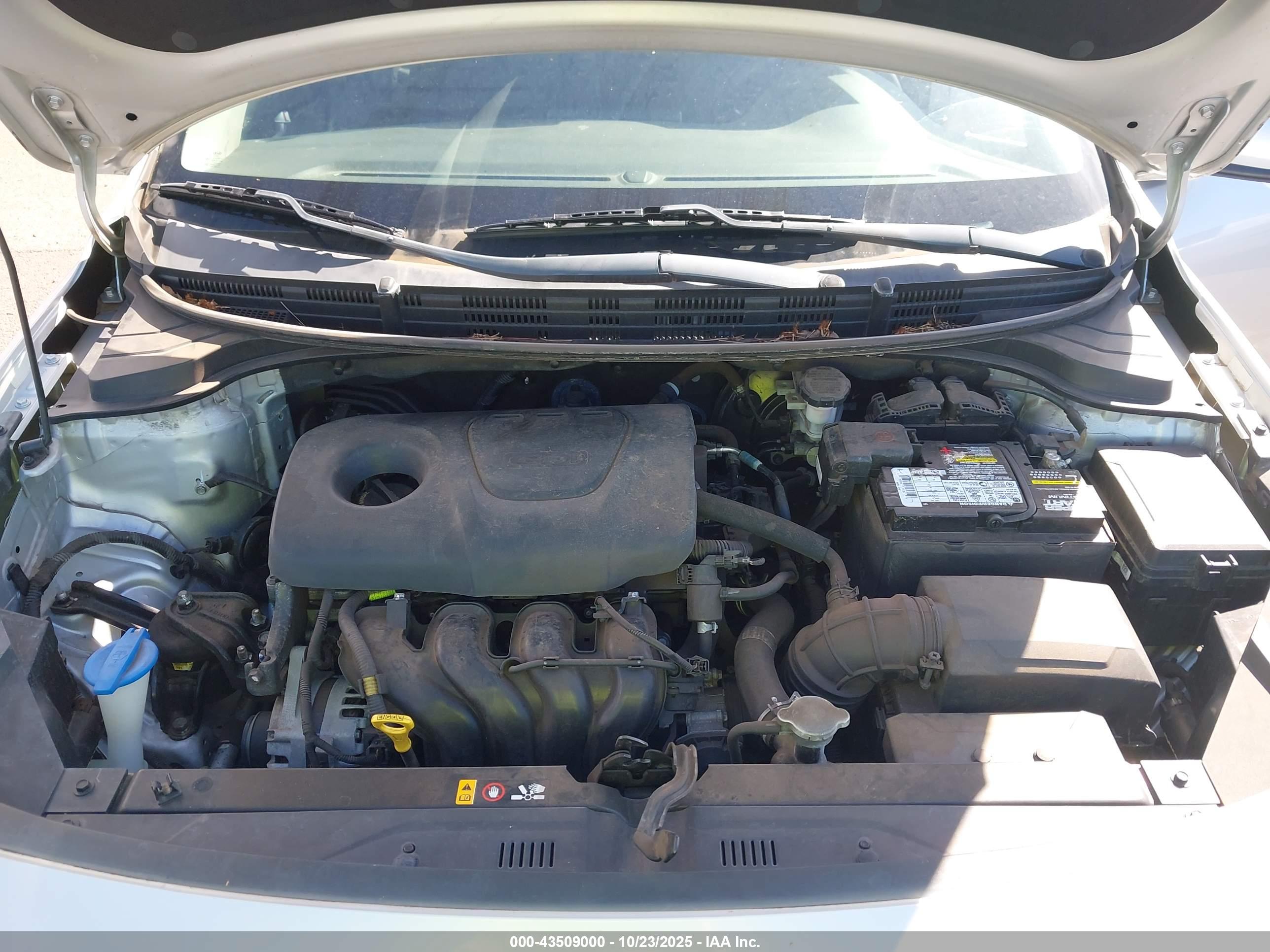 KIA RIO image 10