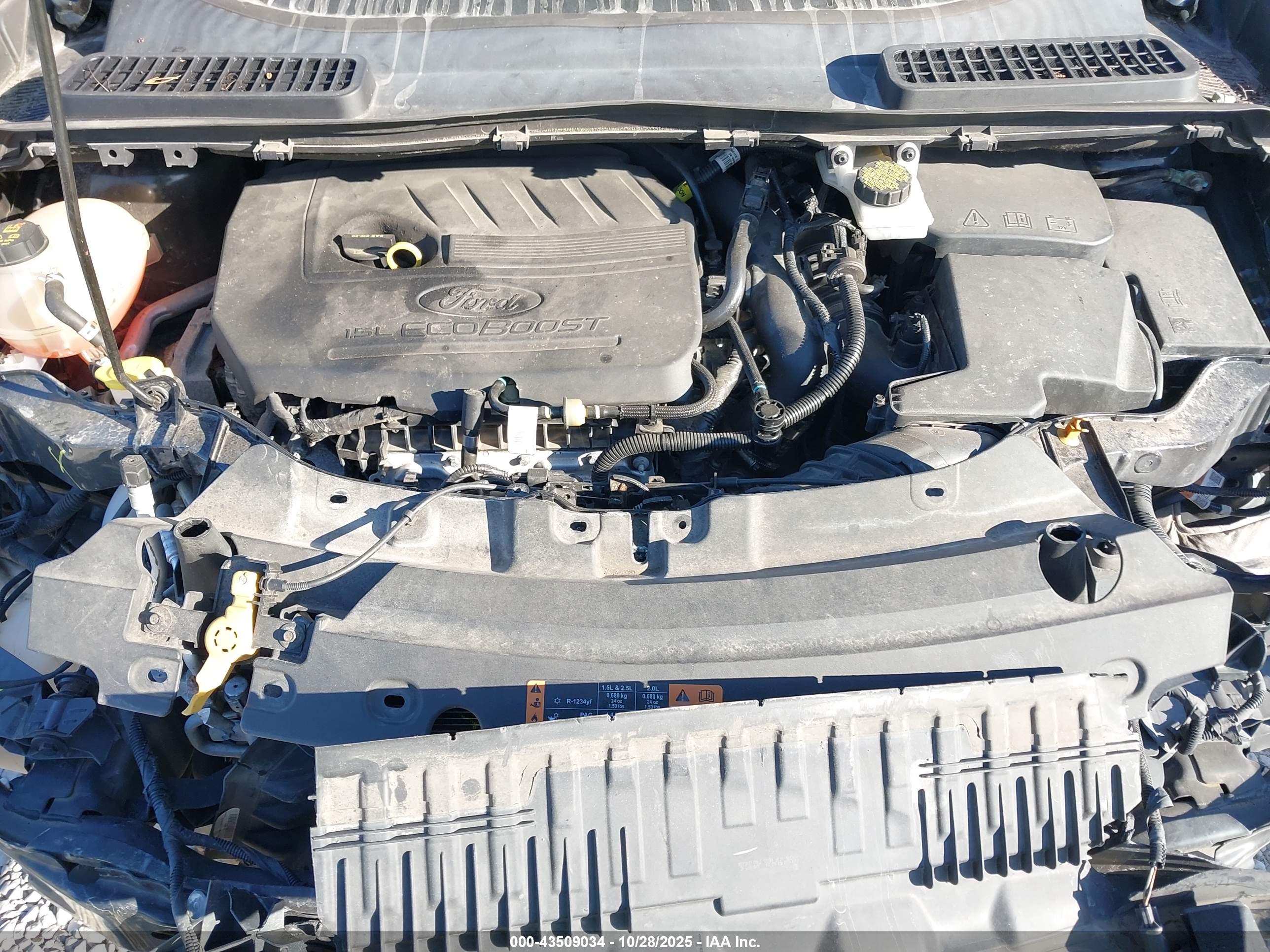 FORD ESCAPE image 10