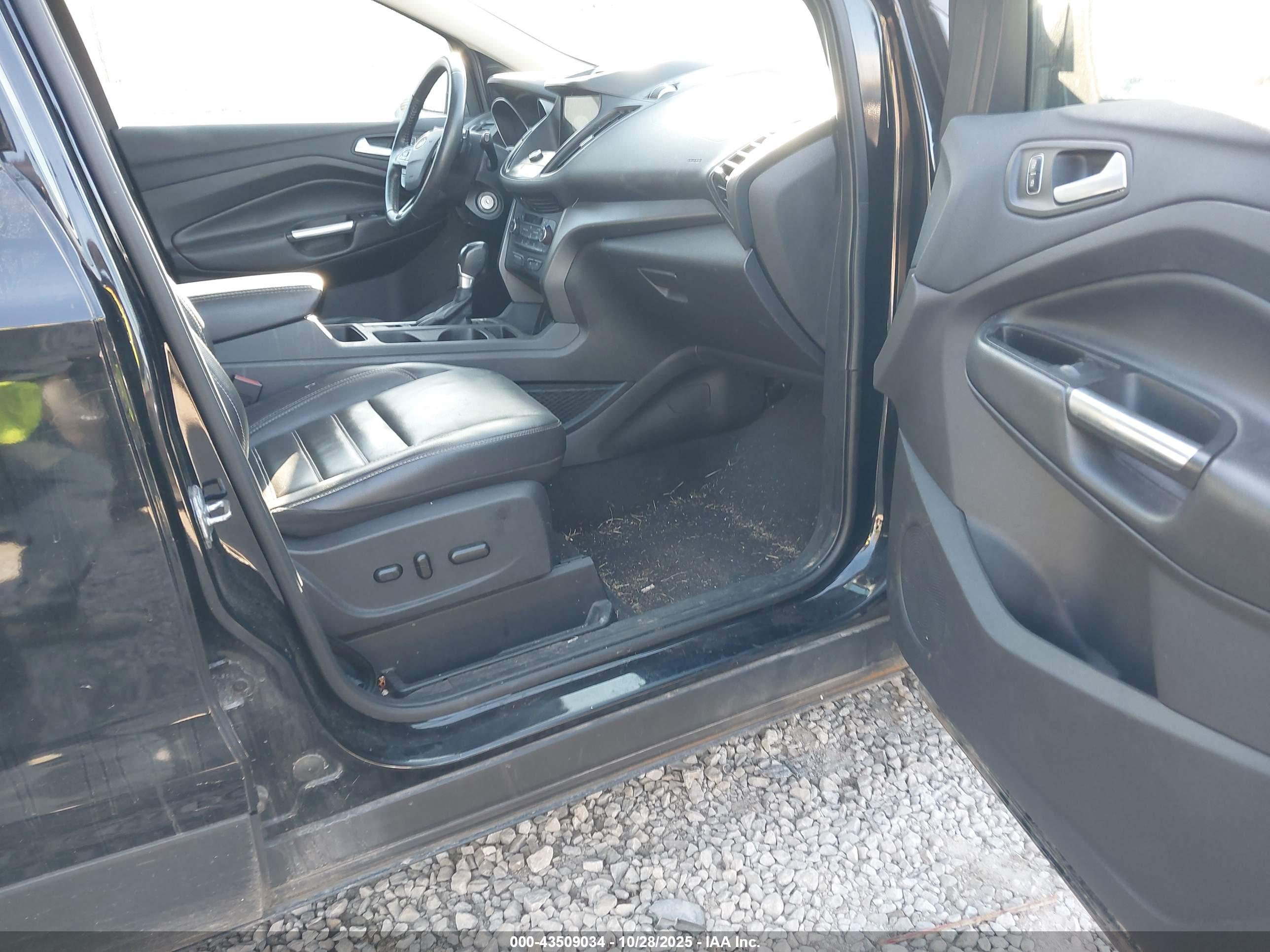FORD ESCAPE image 5