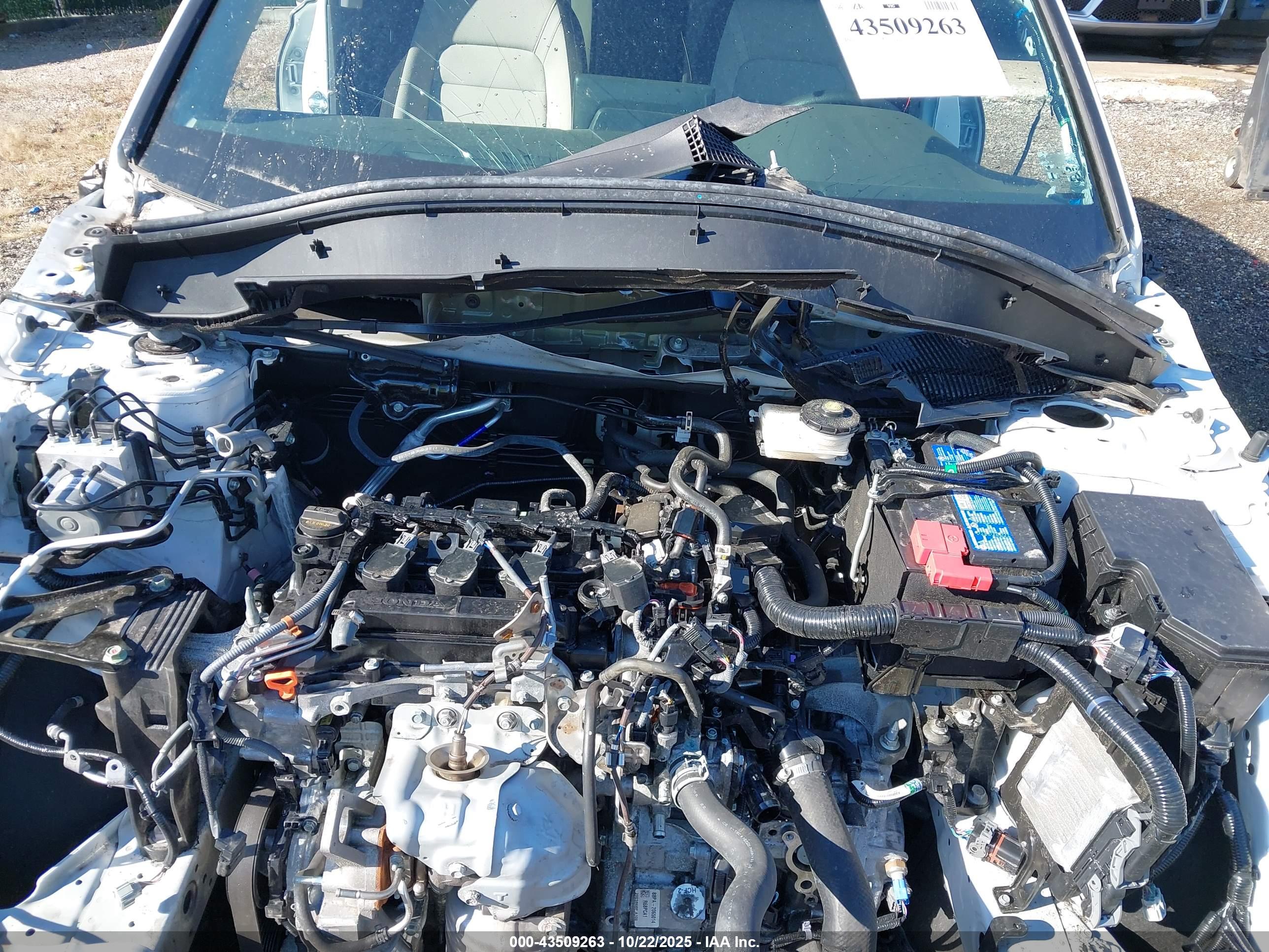 HONDA CR-V image 10