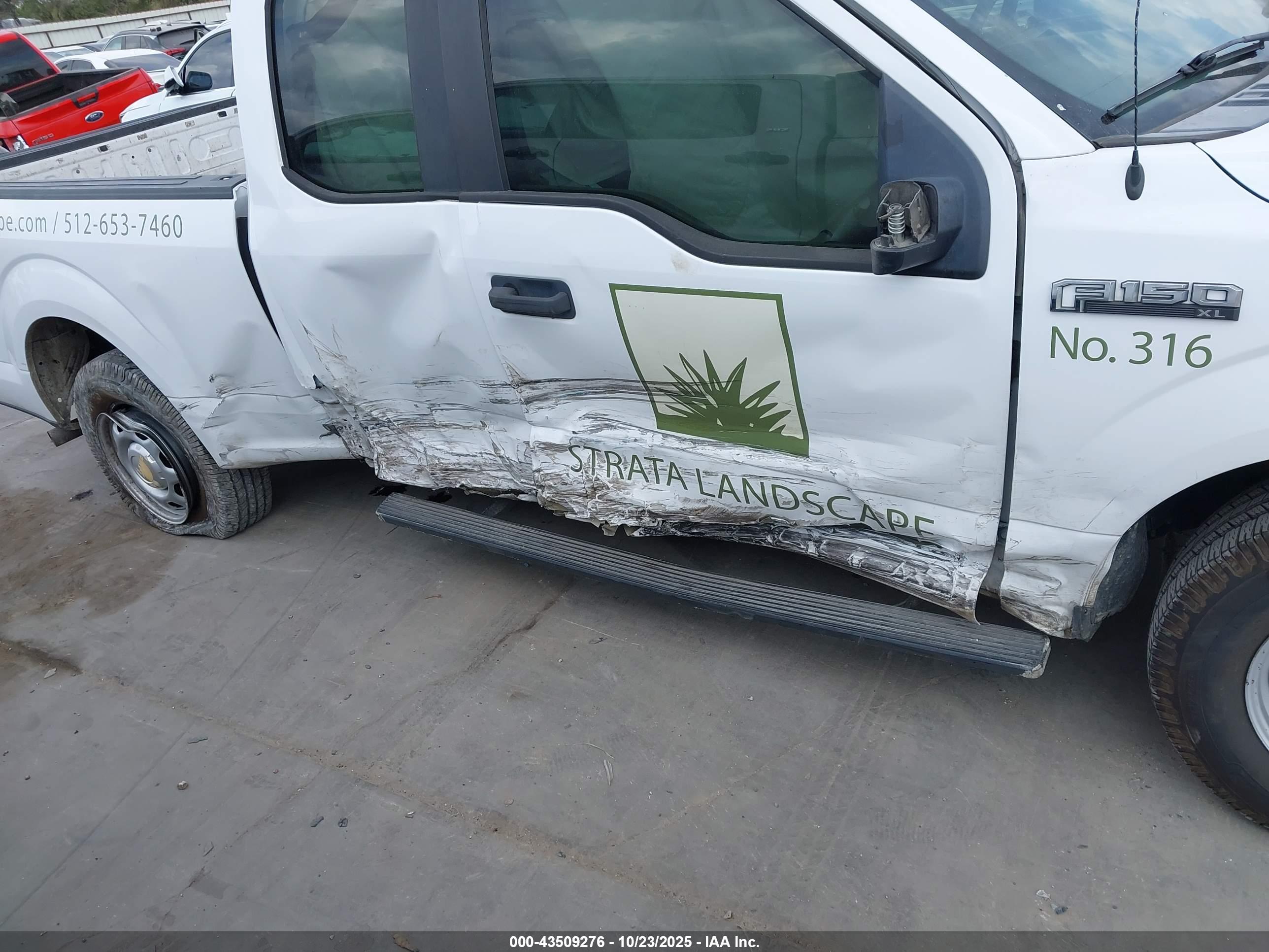FORD F-150 image 6