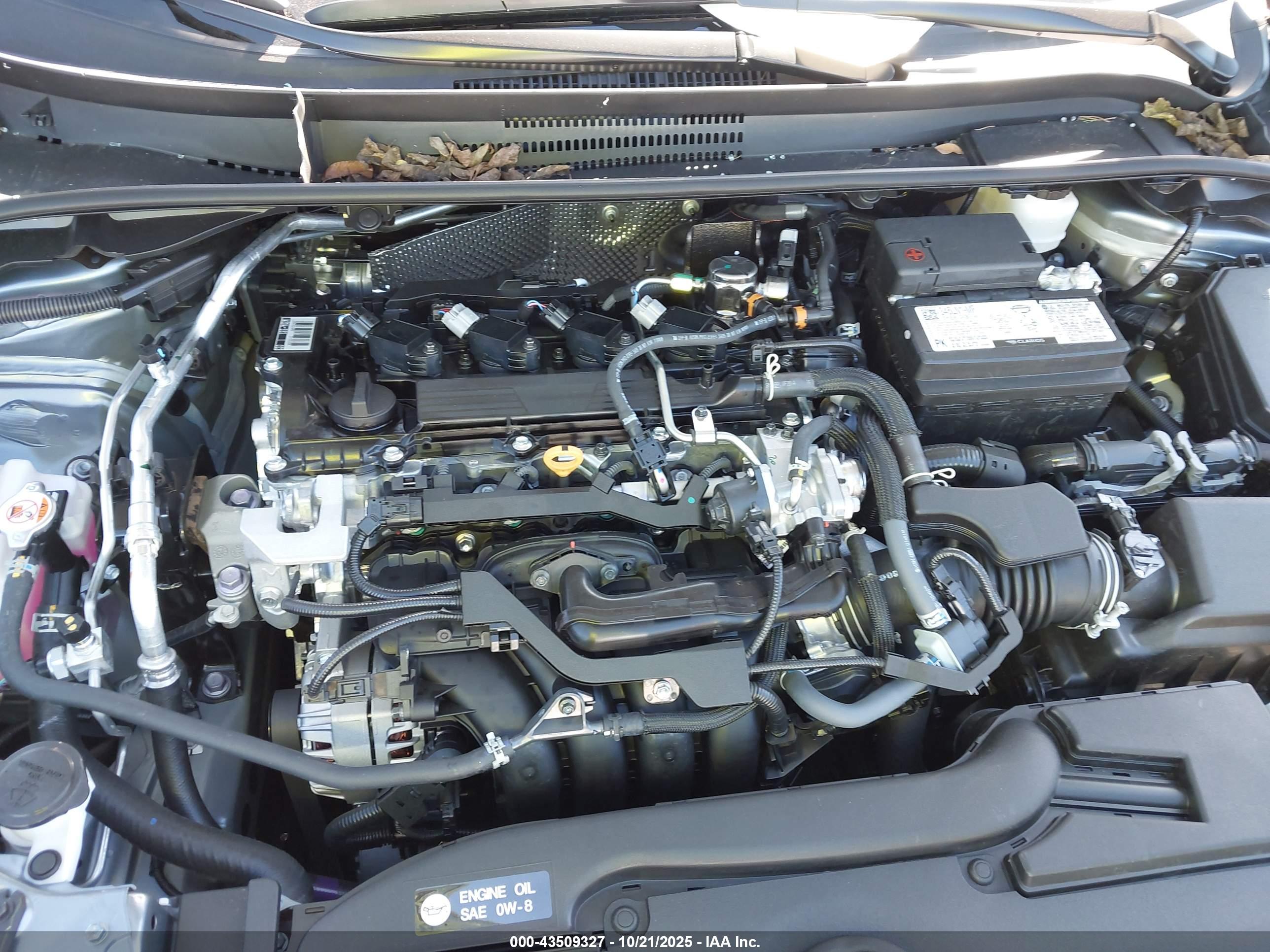 TOYOTA COROLLA image 10