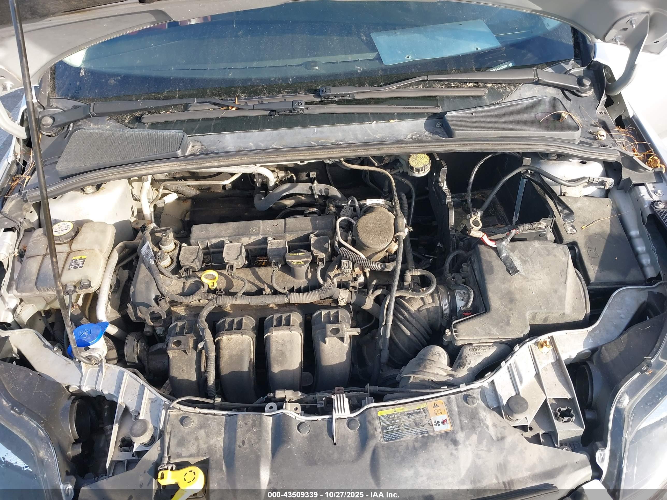 FORD FOCUS image 10