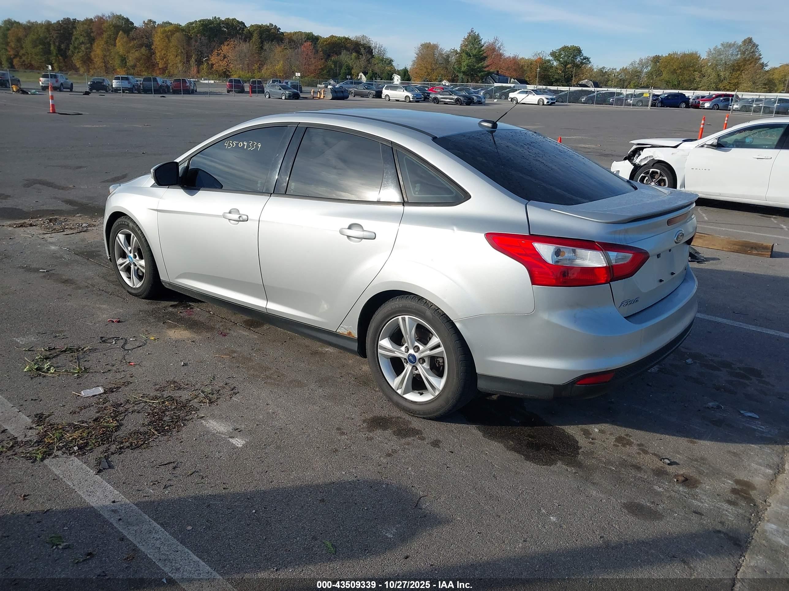 FORD FOCUS image 3