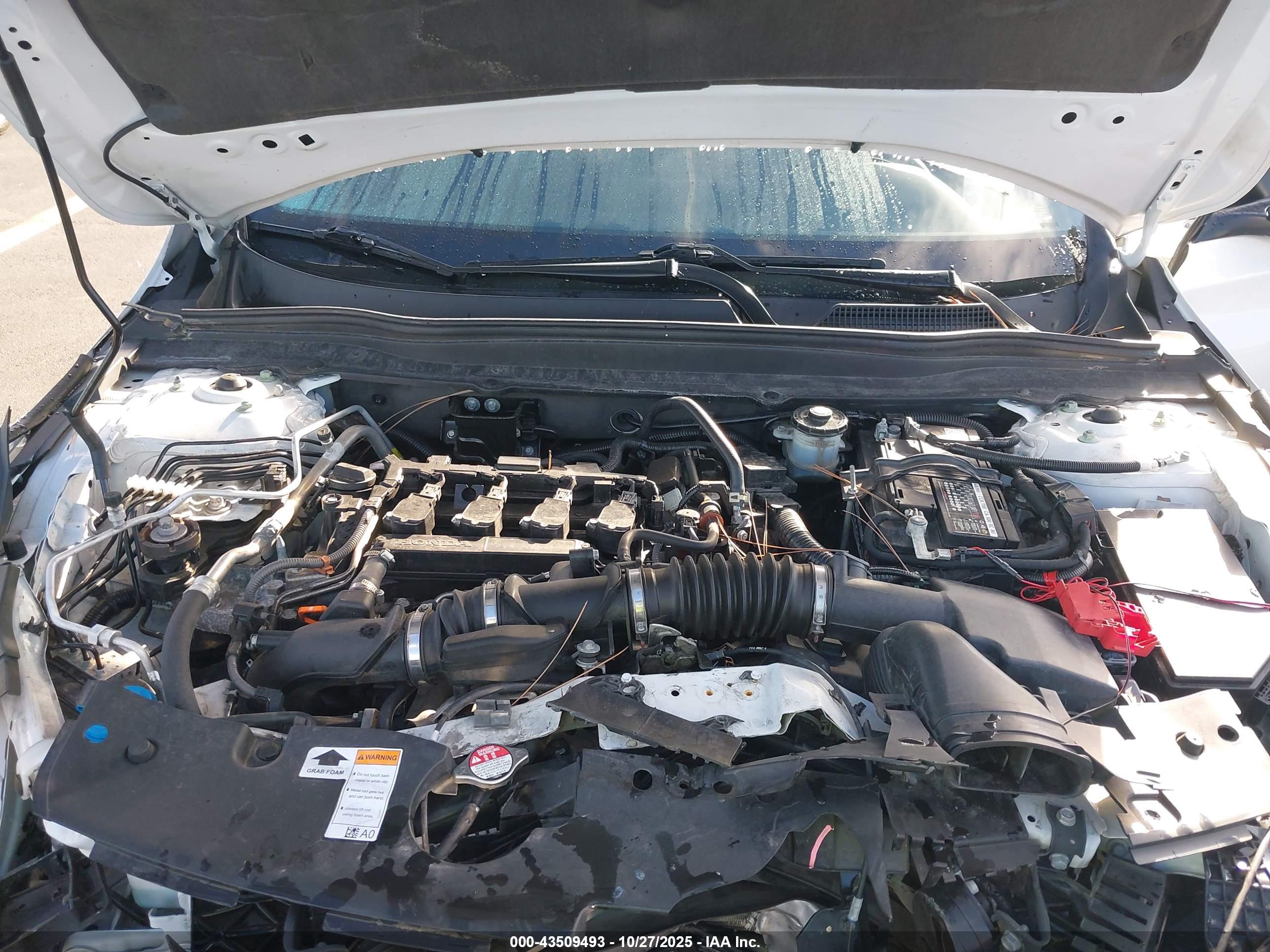 HONDA ACCORD image 10