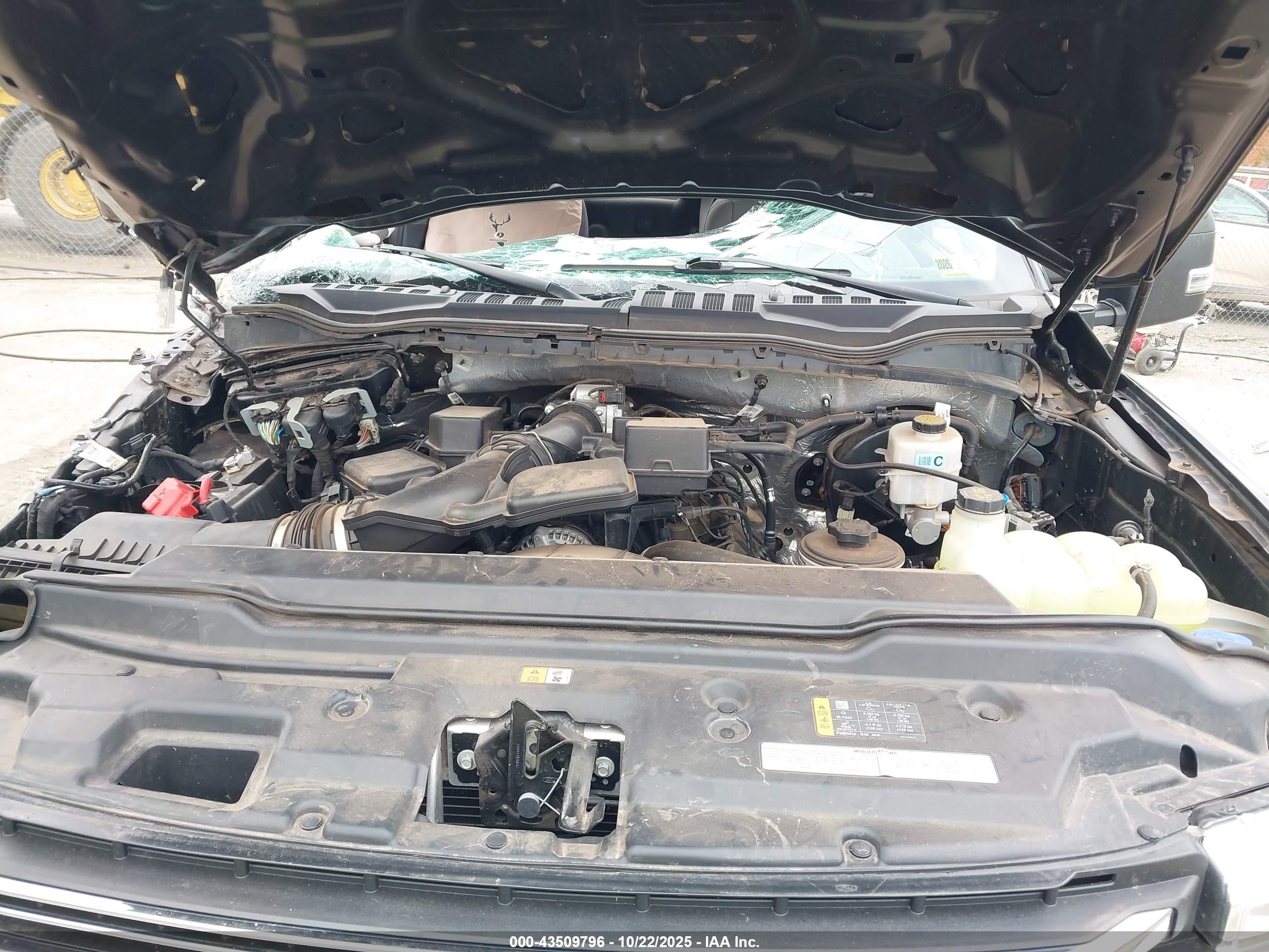 FORD F-250 image 10
