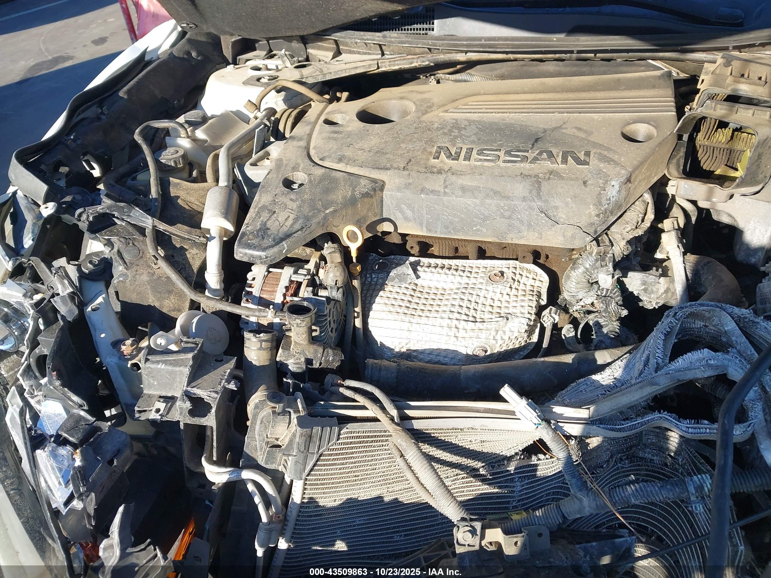 NISSAN ALTIMA image 10