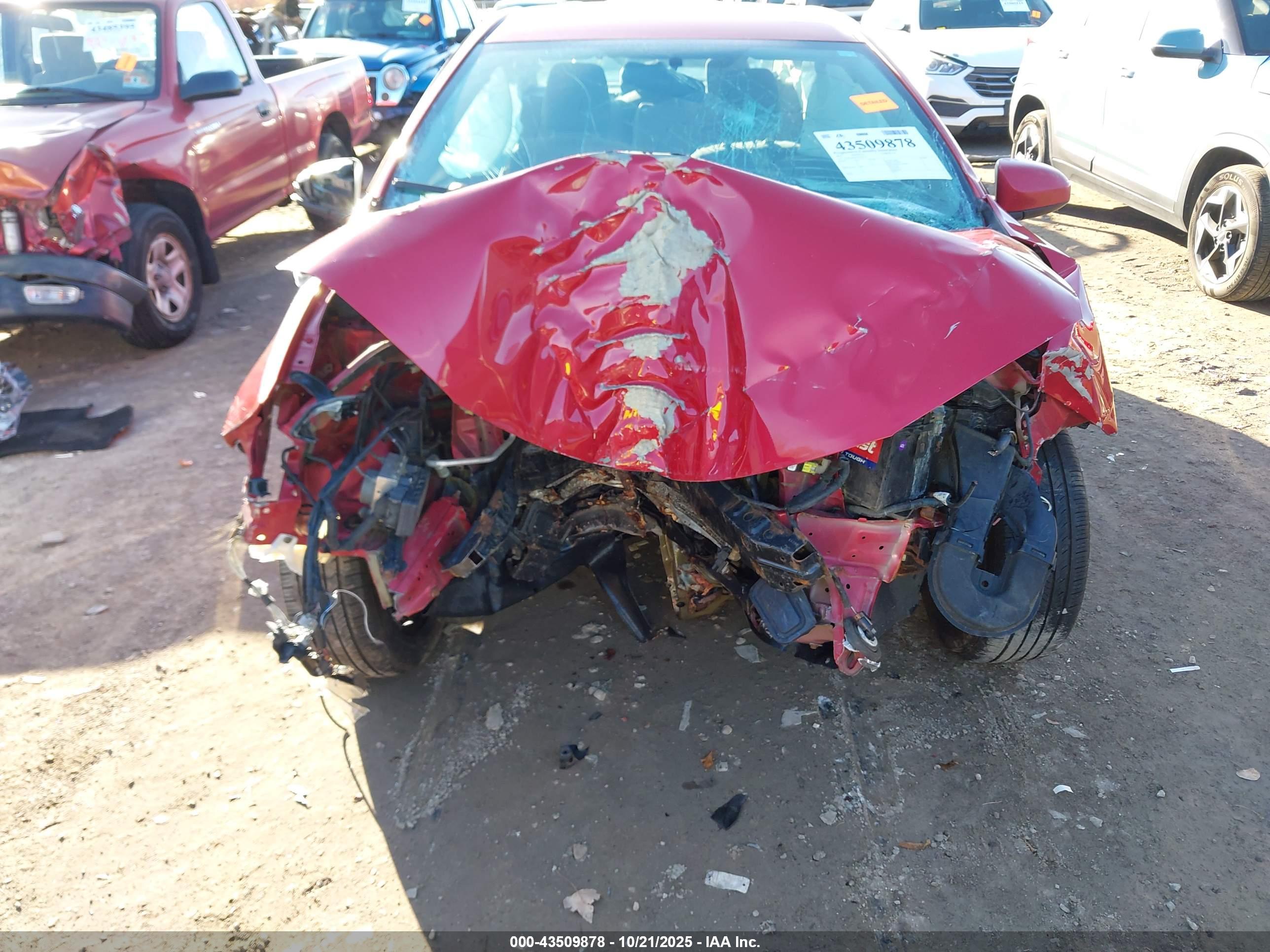 TOYOTA COROLLA image 6