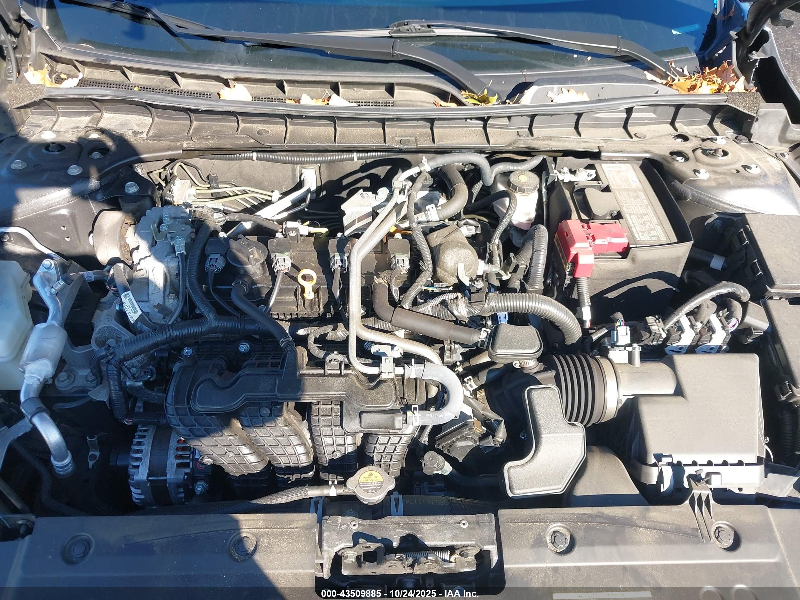 NISSAN ALTIMA image 10
