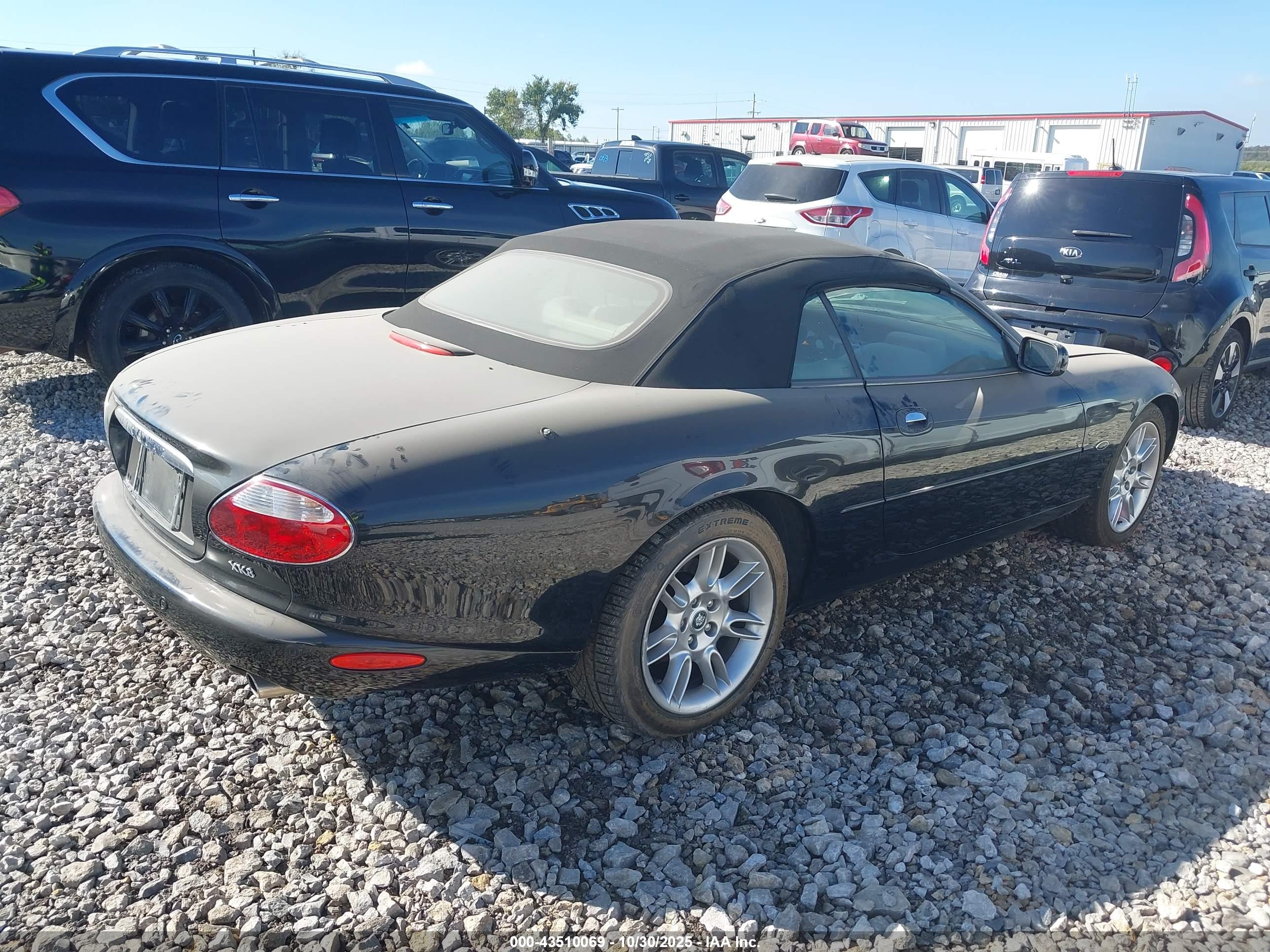 JAGUAR XK8 image 4