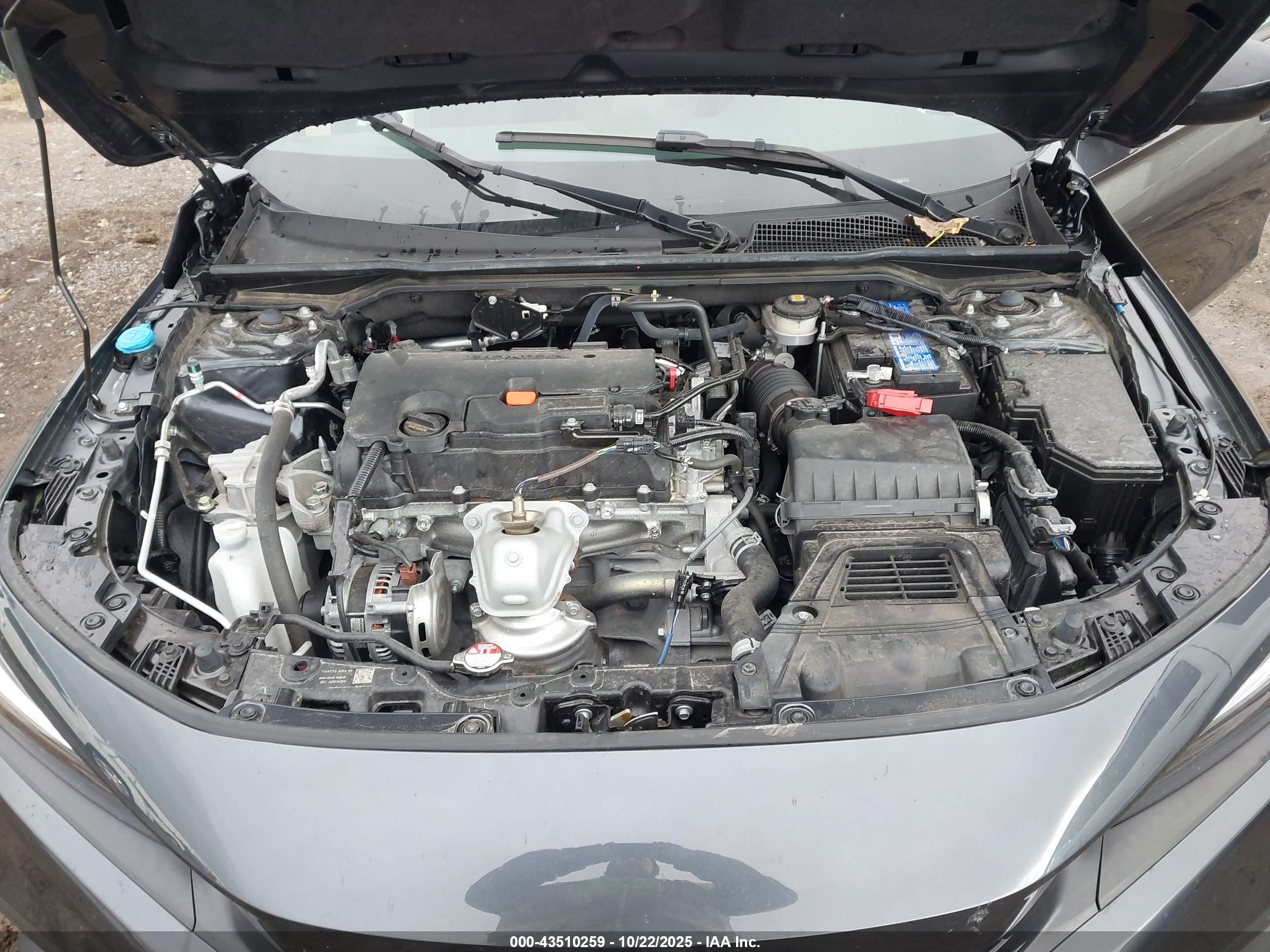 HONDA CIVIC image 10