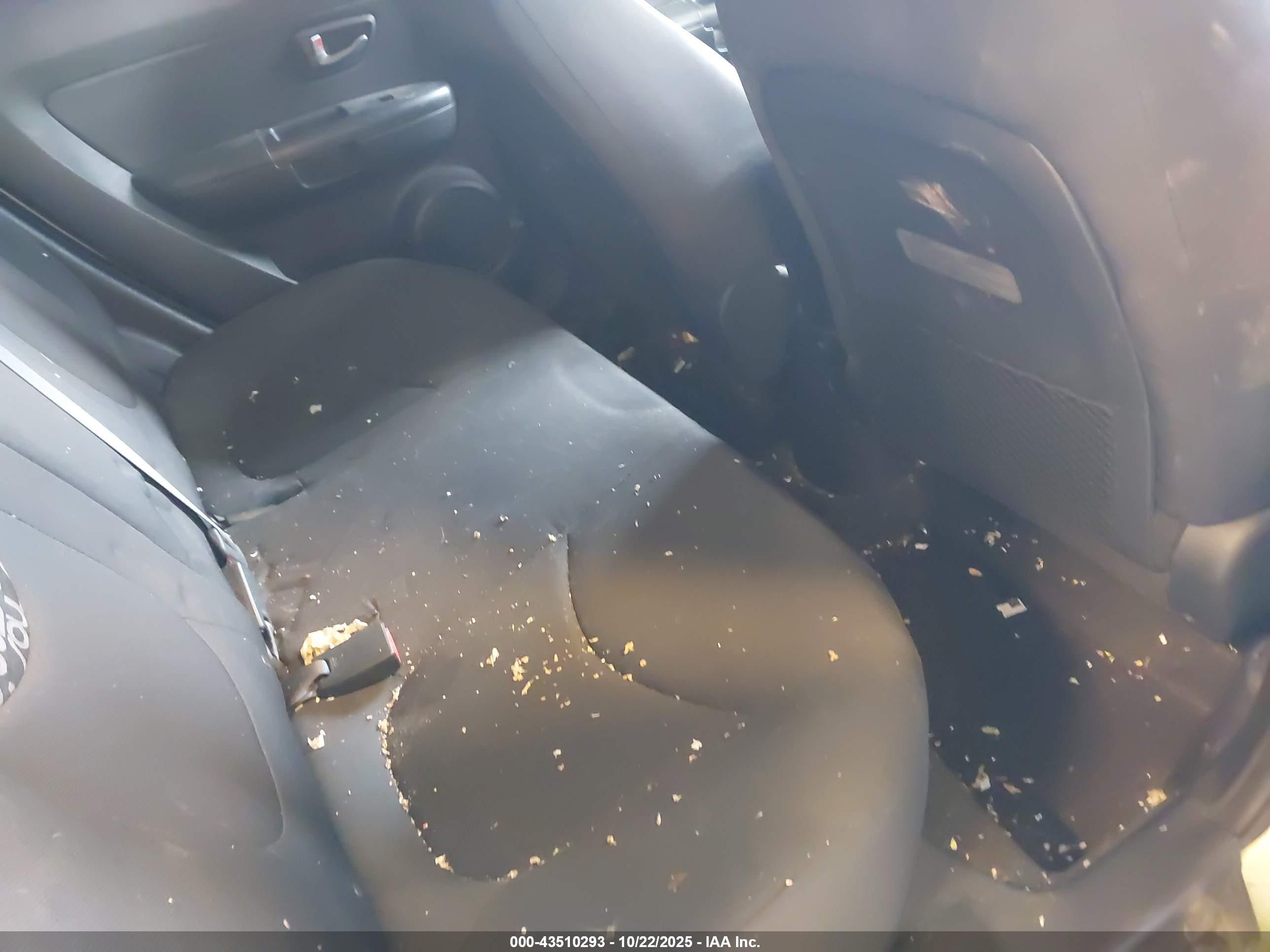 KIA SOUL image 8