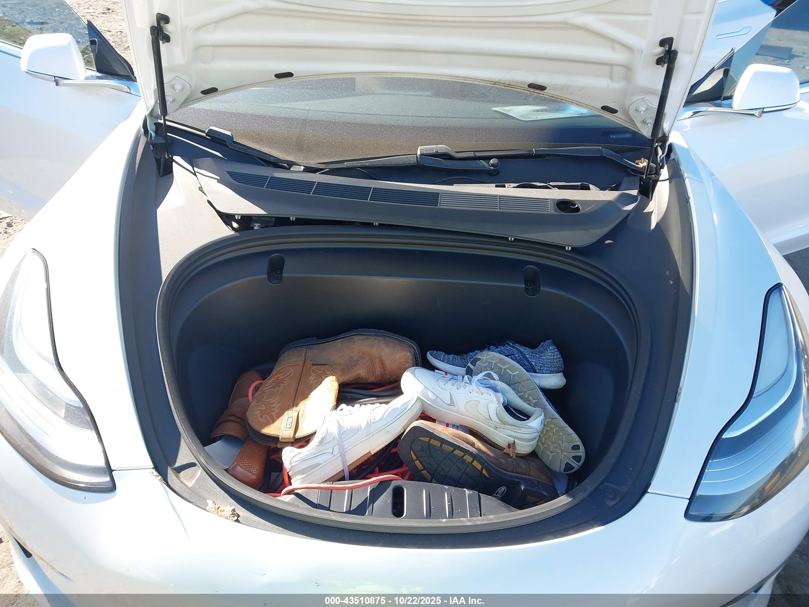 TESLA MODEL image 10