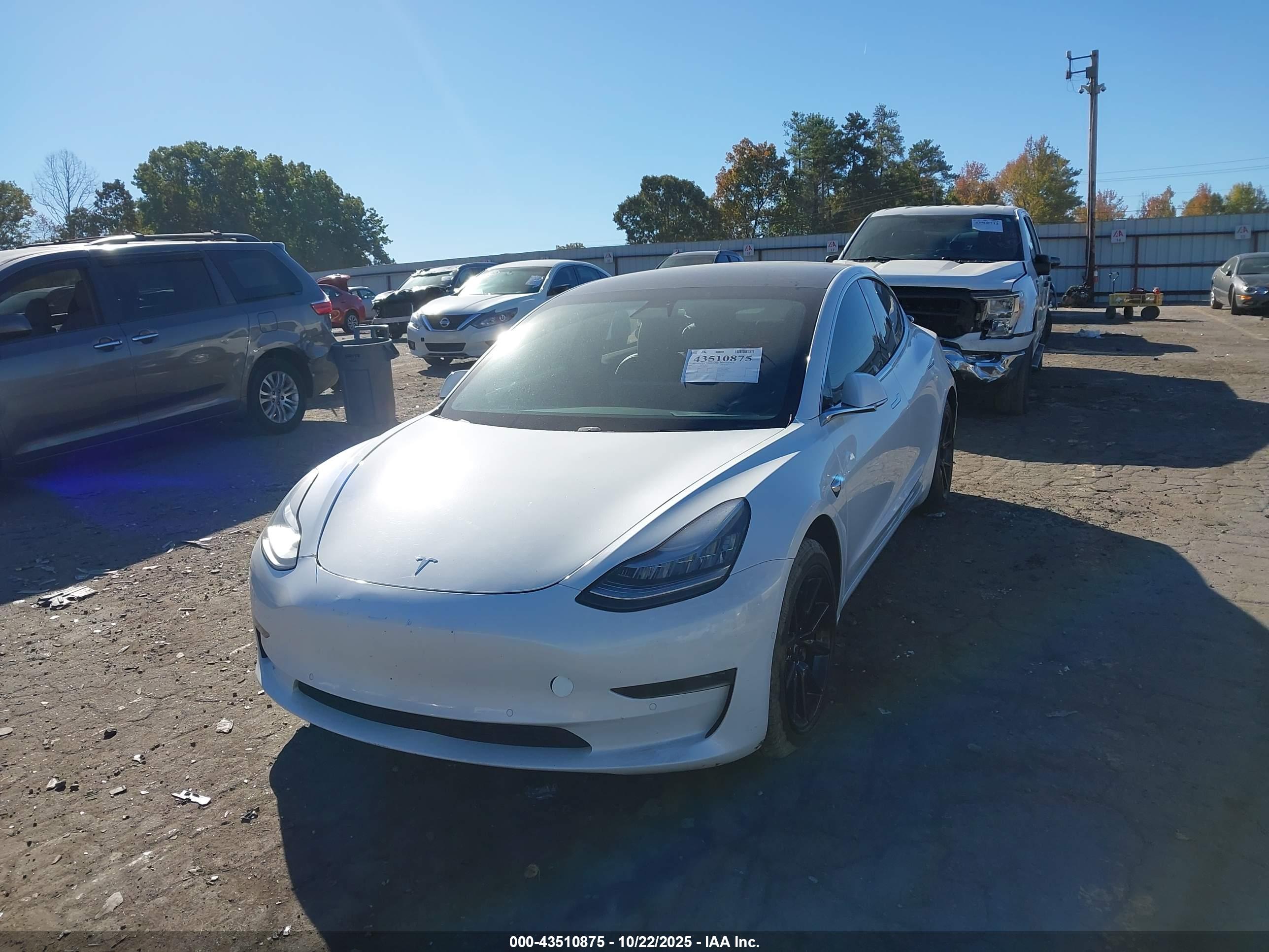 TESLA MODEL image 2