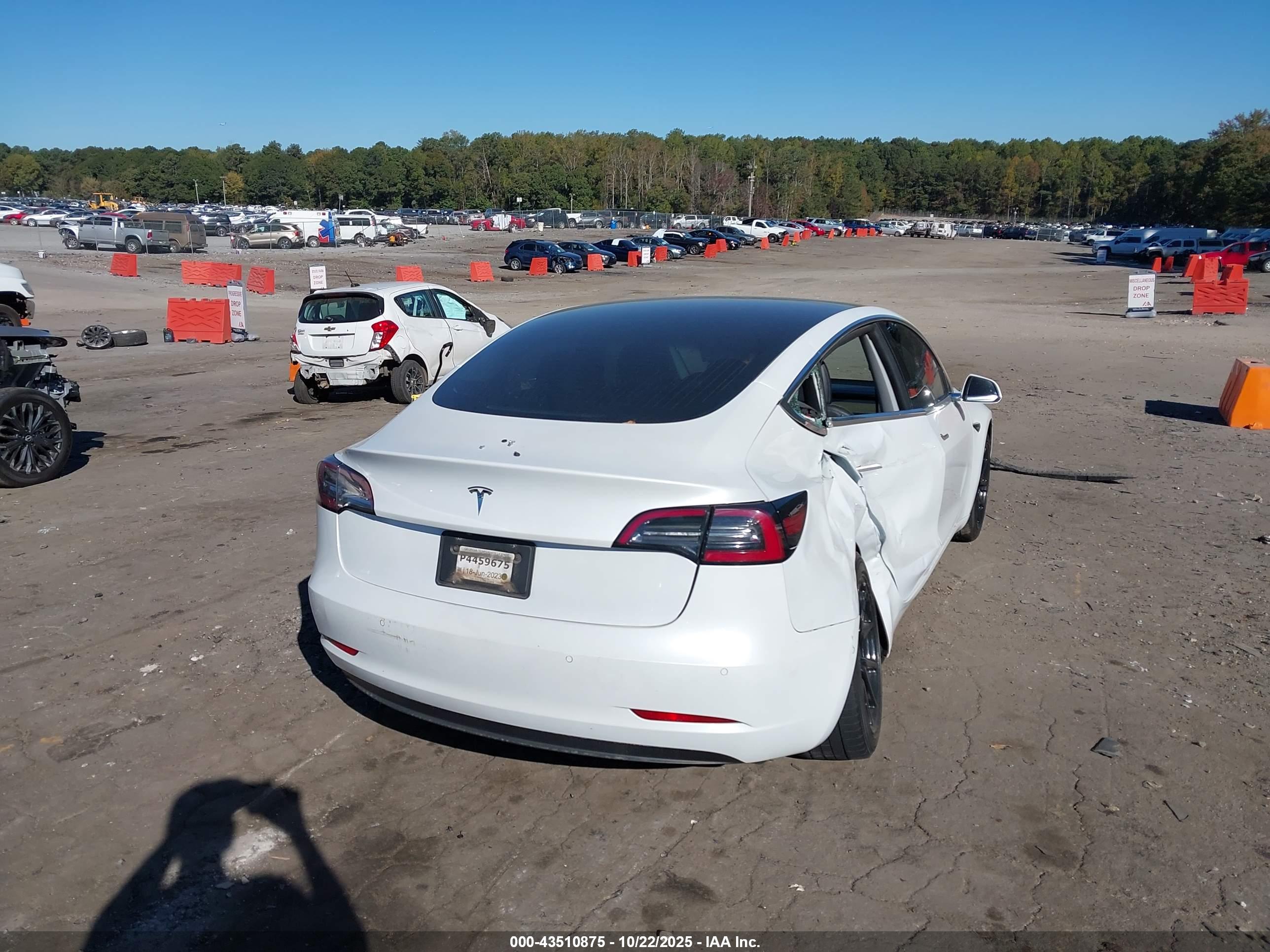 TESLA MODEL image 4