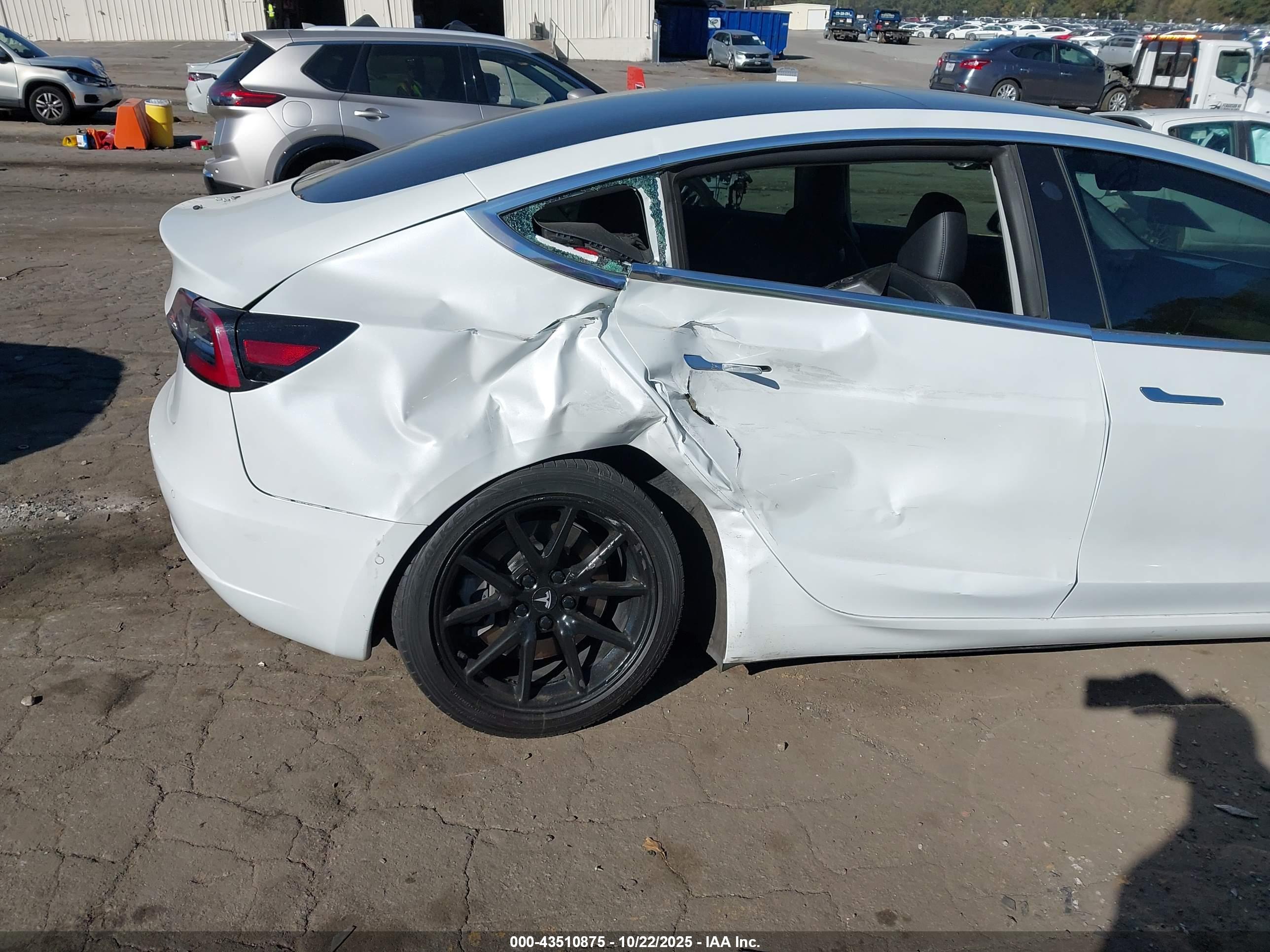 TESLA MODEL image 6