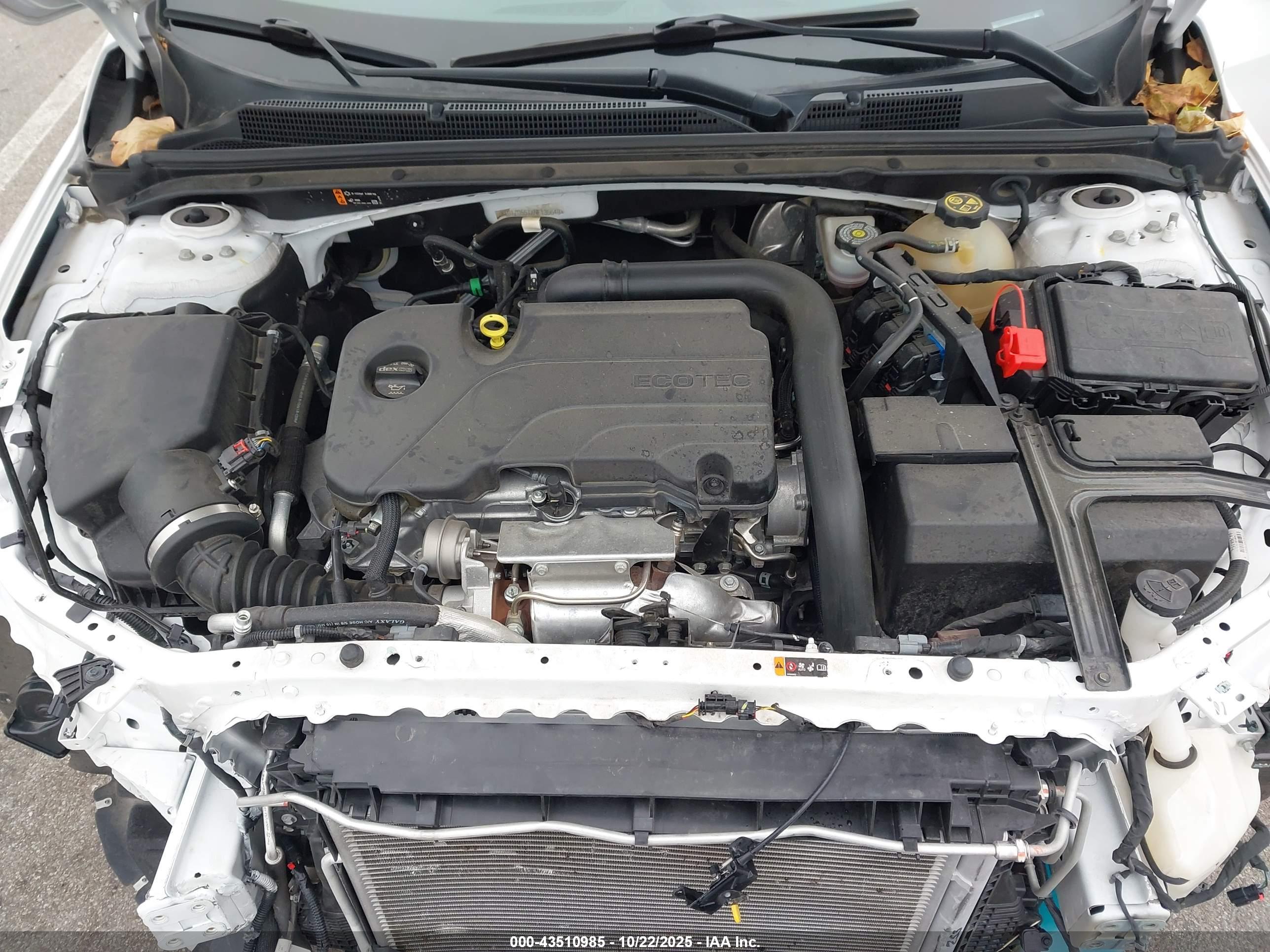CHEVROLET MALIBU image 10