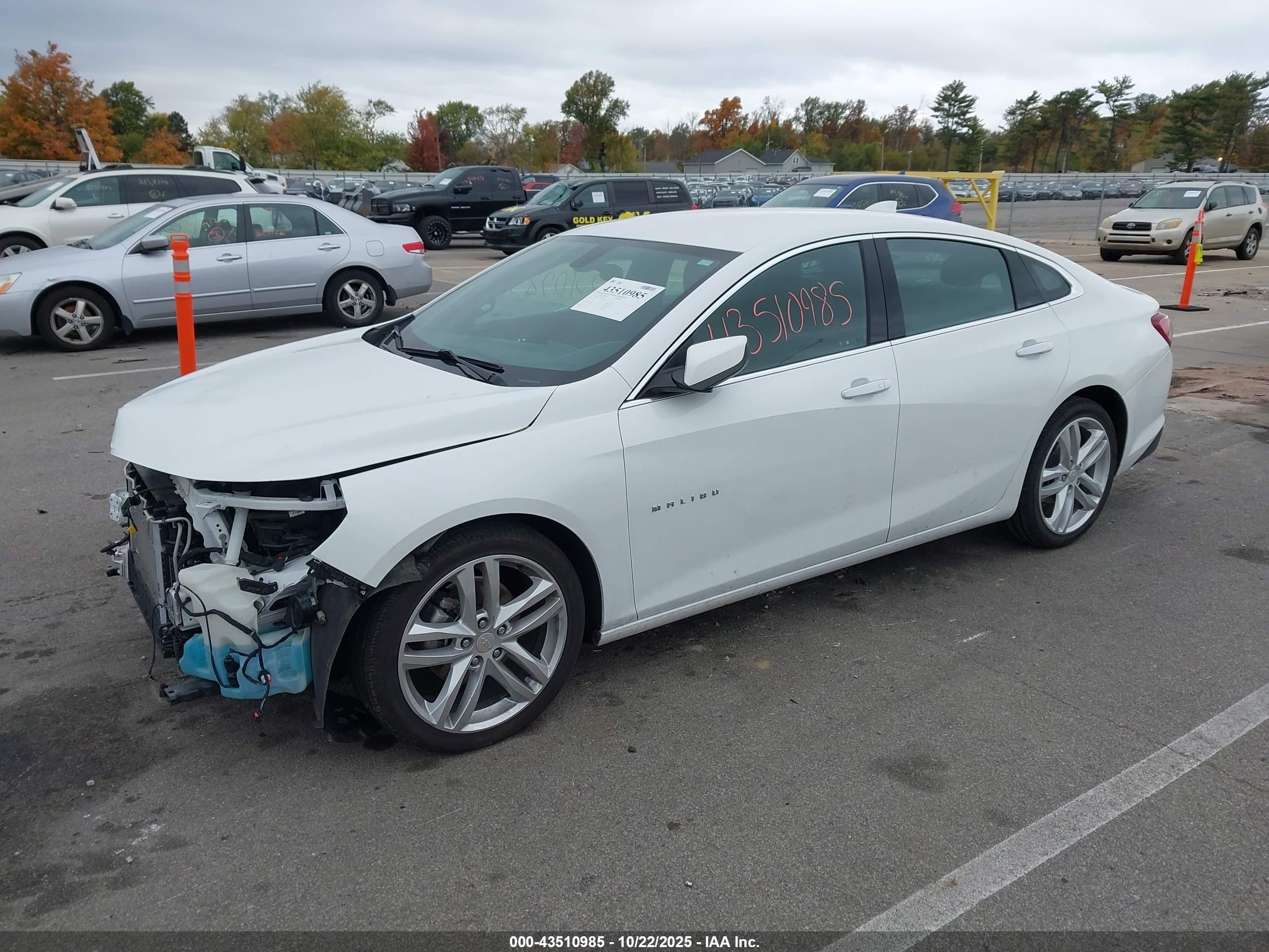 CHEVROLET MALIBU image 2