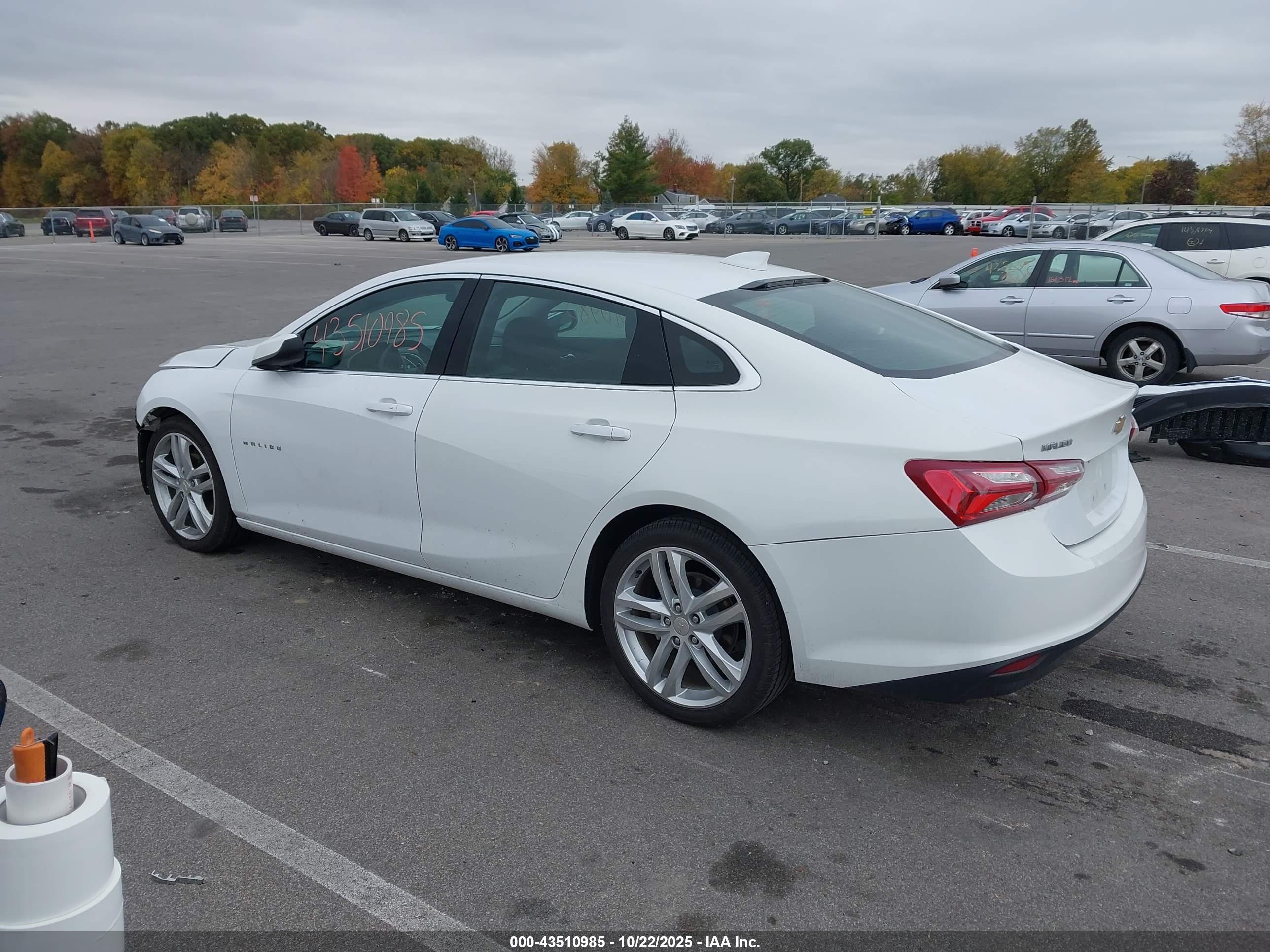 CHEVROLET MALIBU image 3