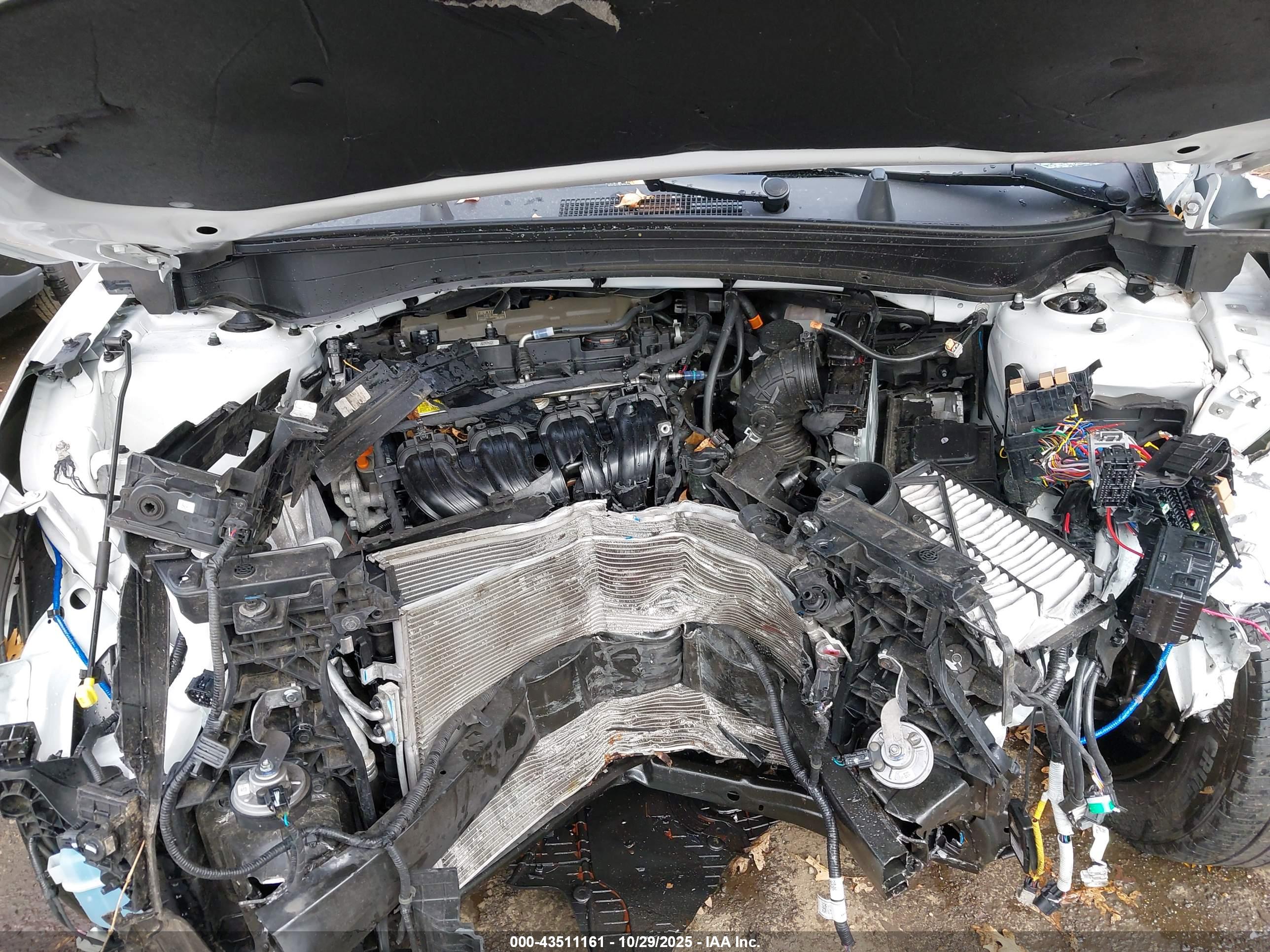 KIA SPORTAGE image 10