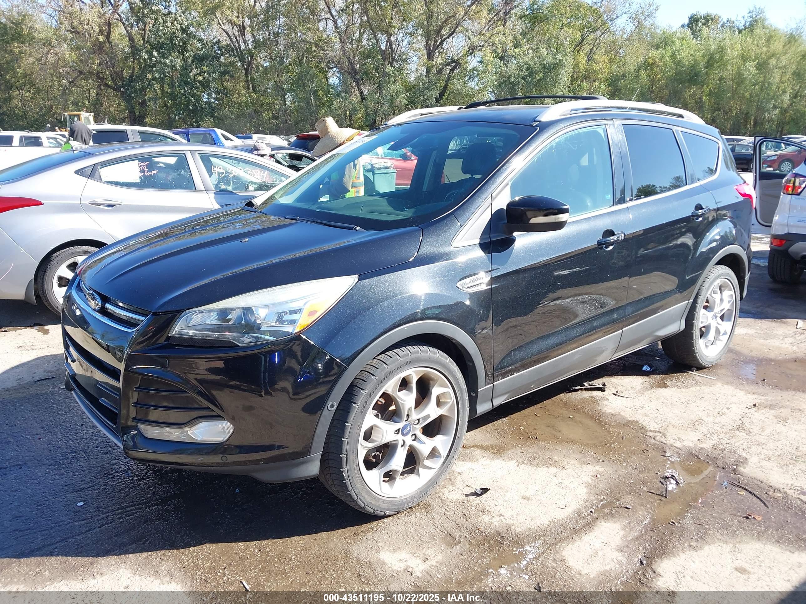 FORD ESCAPE image 2