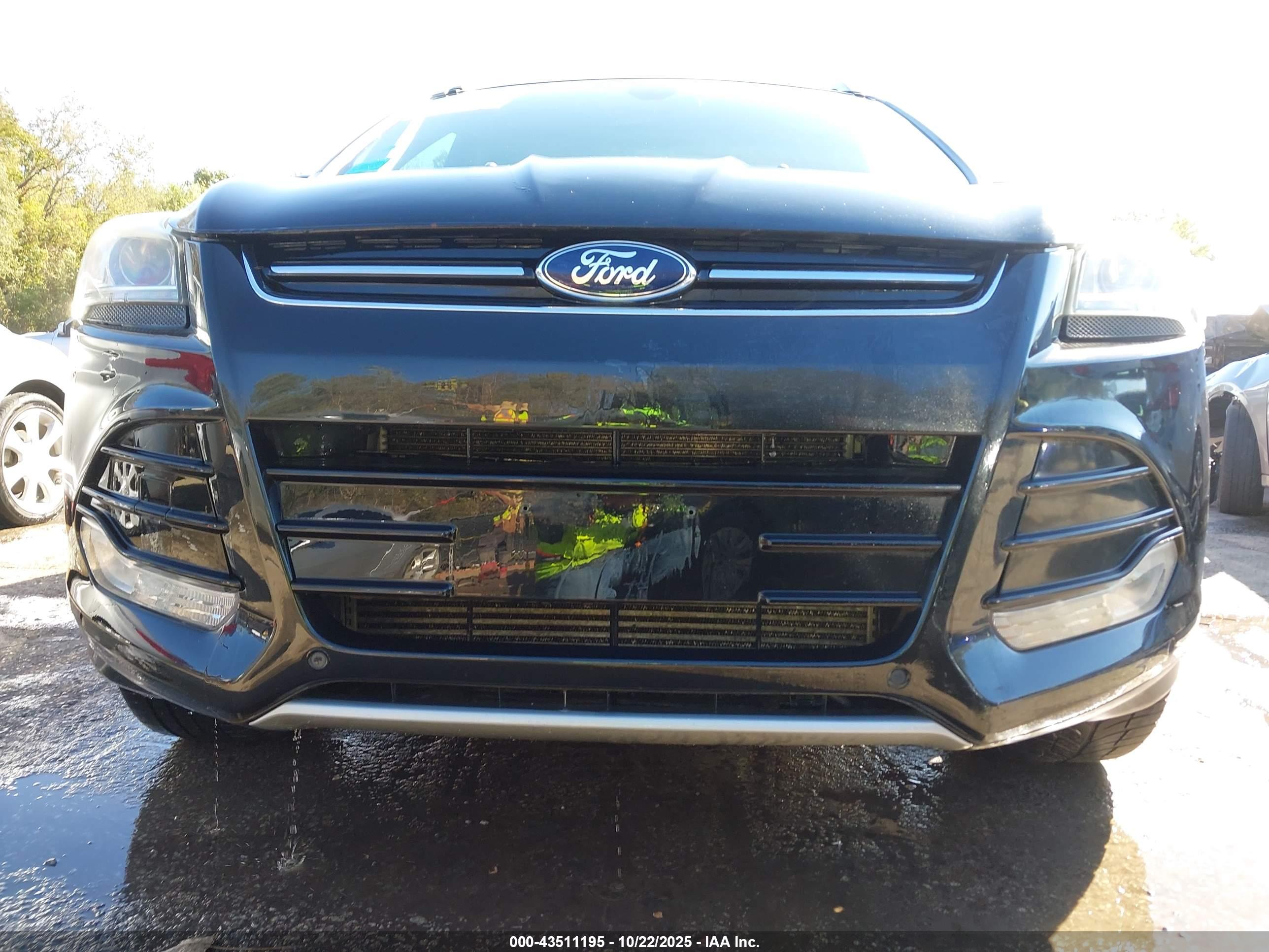 FORD ESCAPE image 6