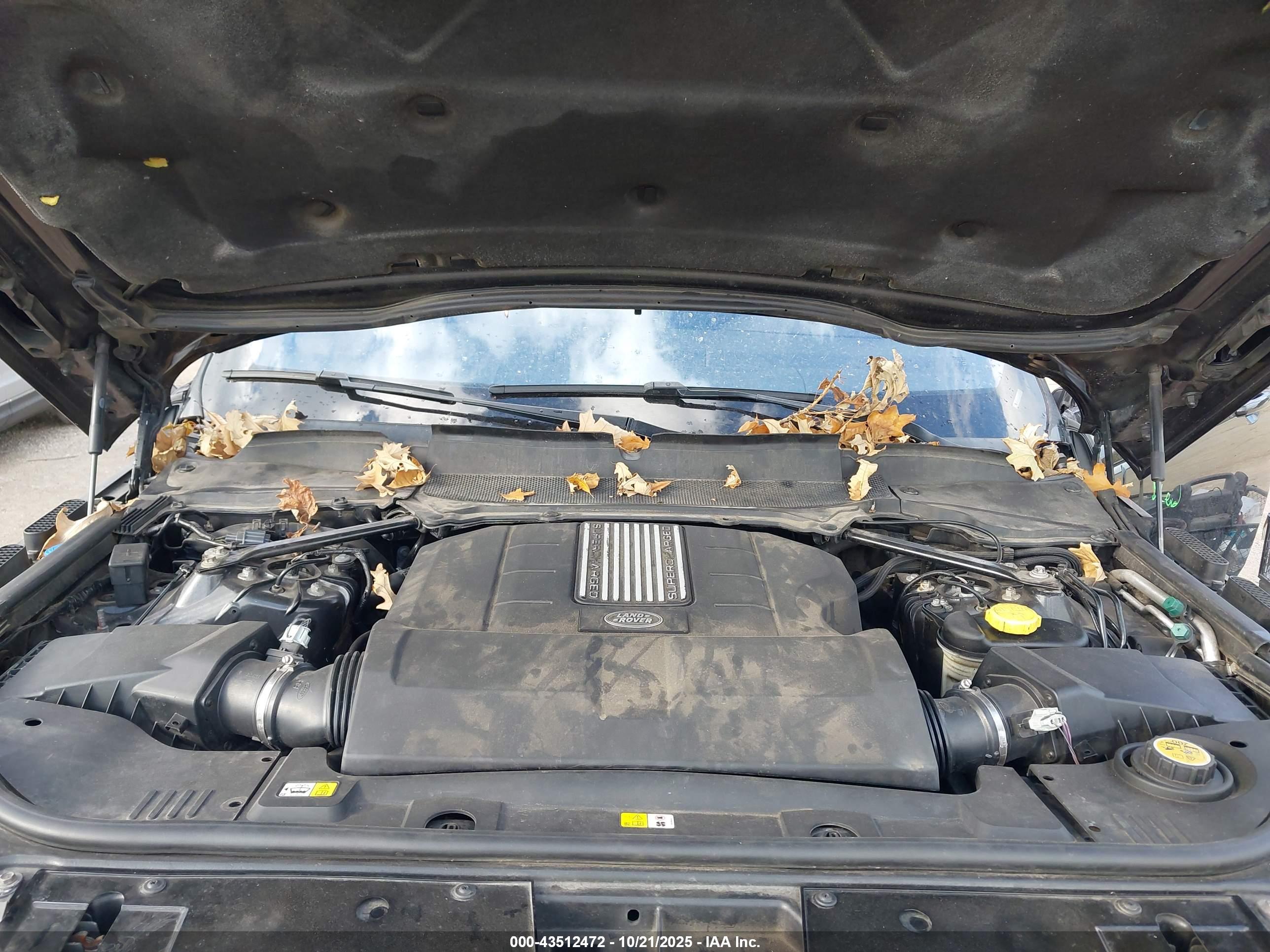 LAND ROVER image 10