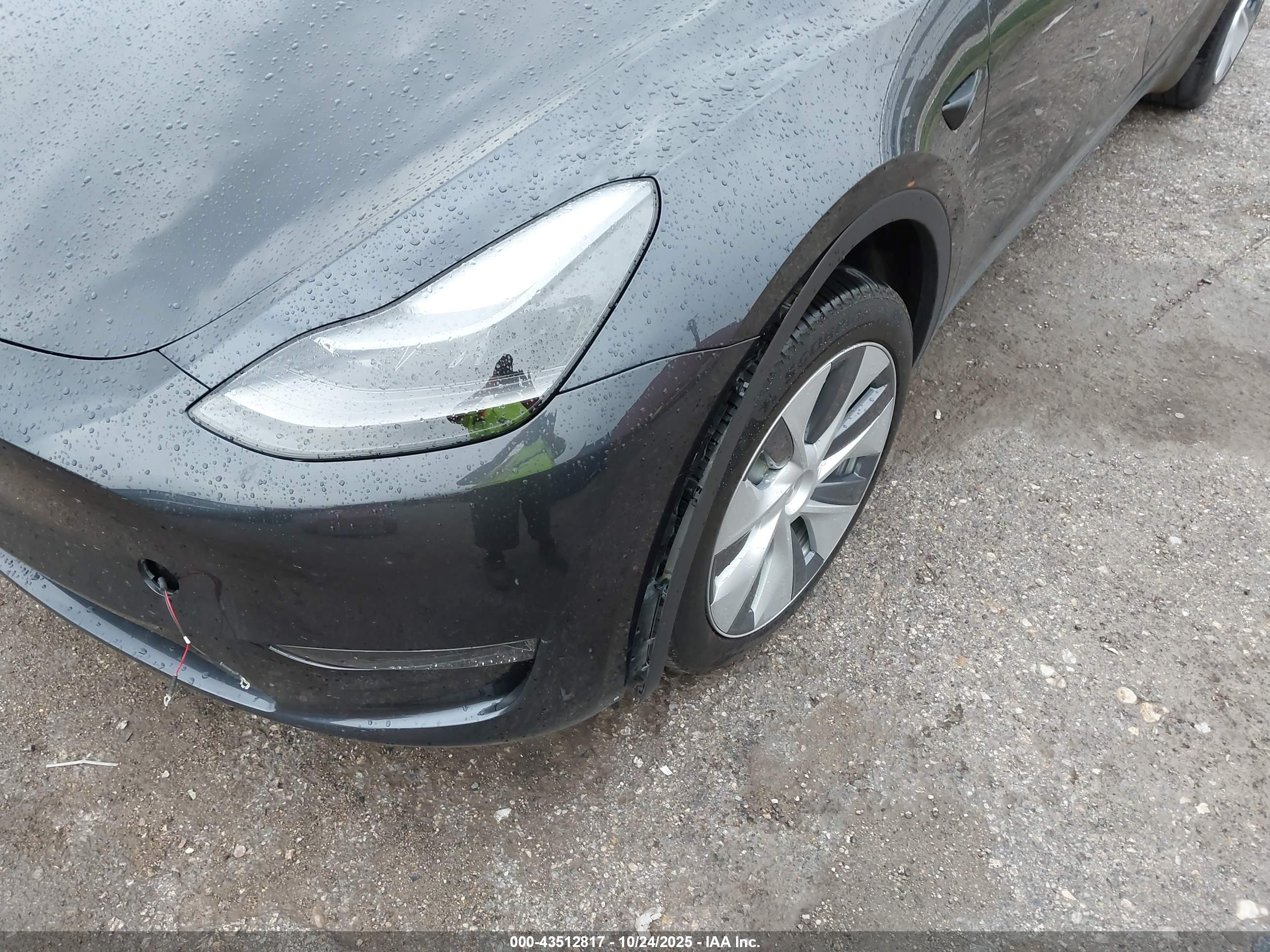 TESLA MODEL image 6