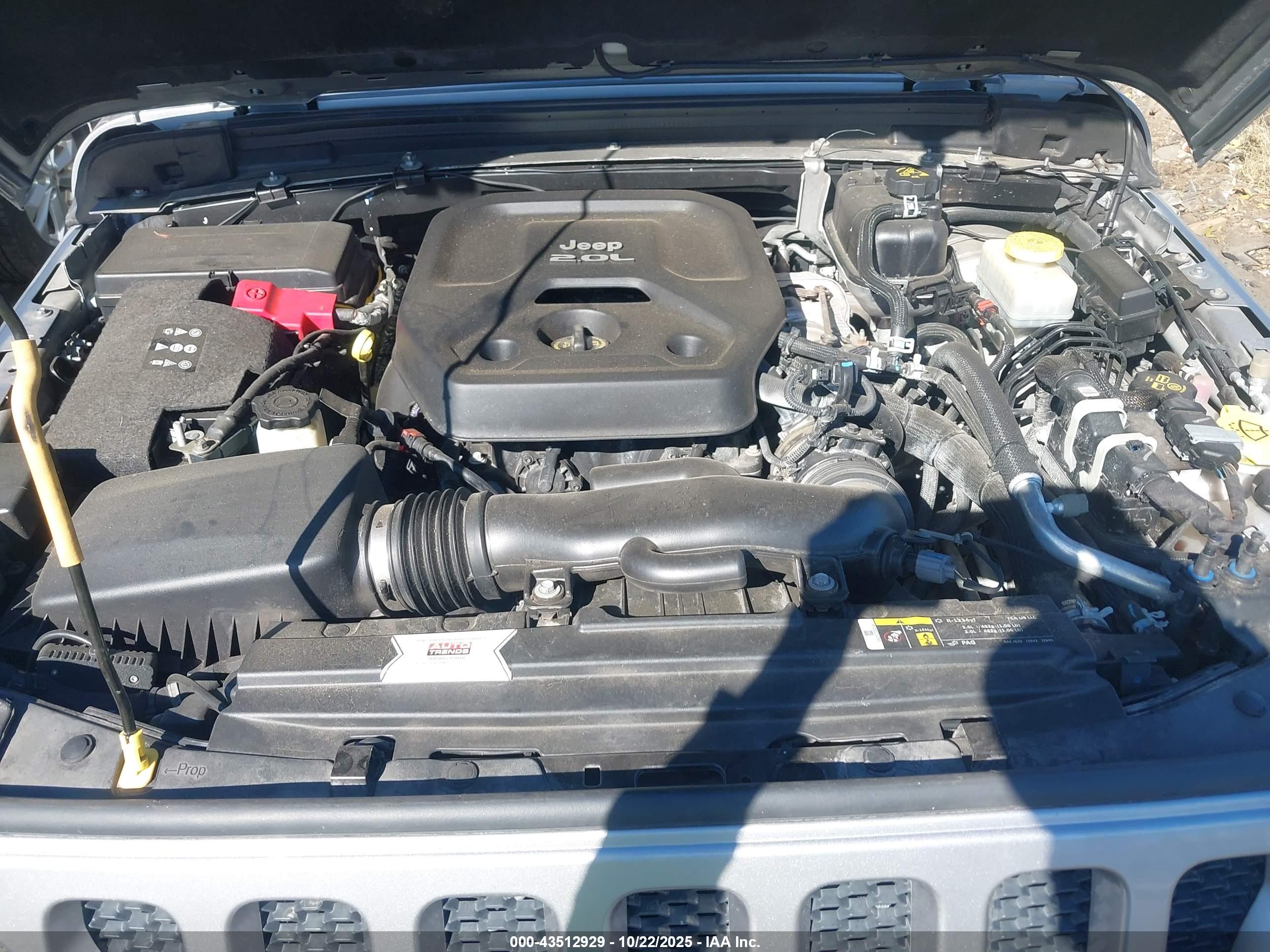JEEP WRANGLER image 10