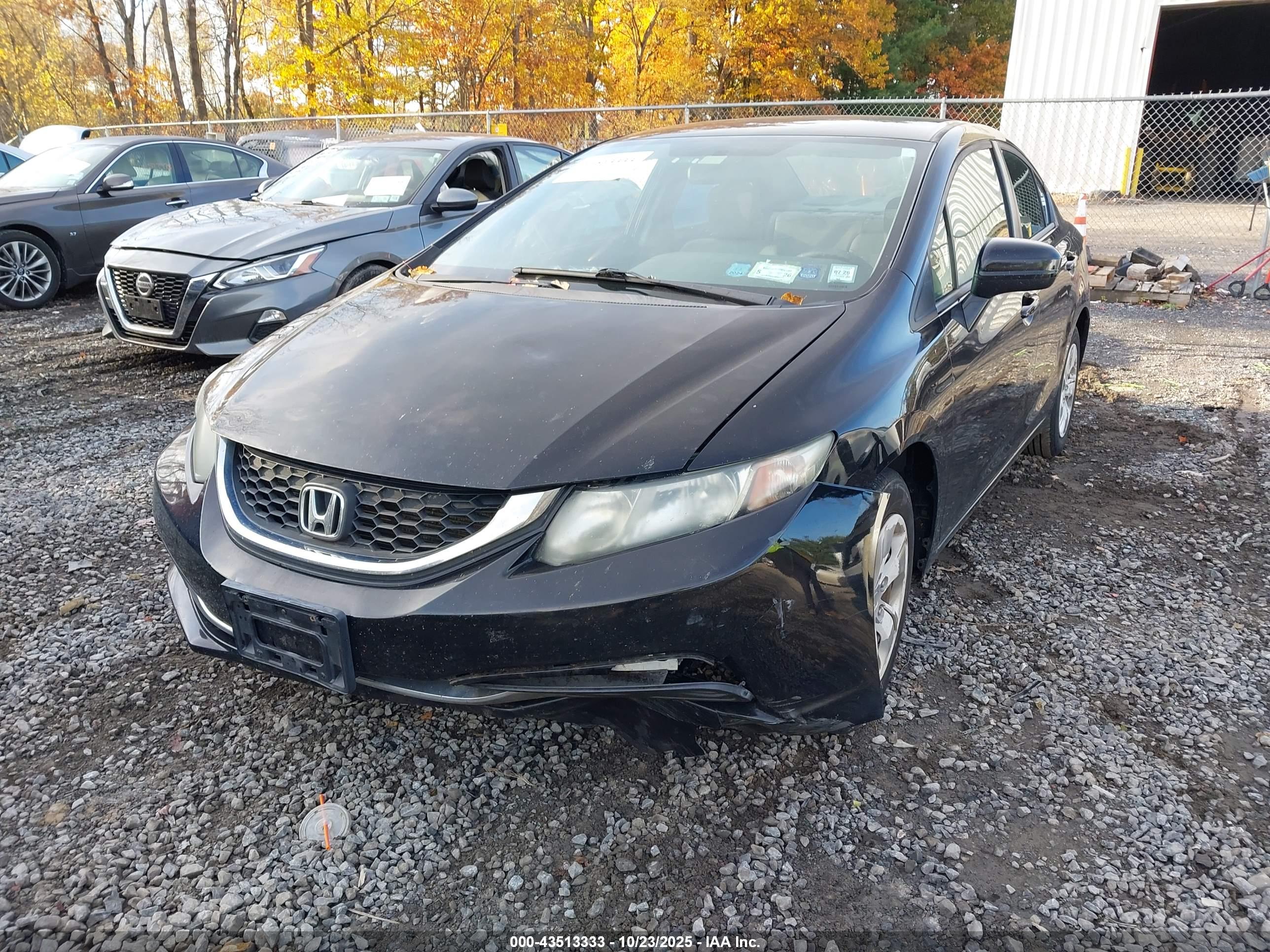 HONDA CIVIC image 6