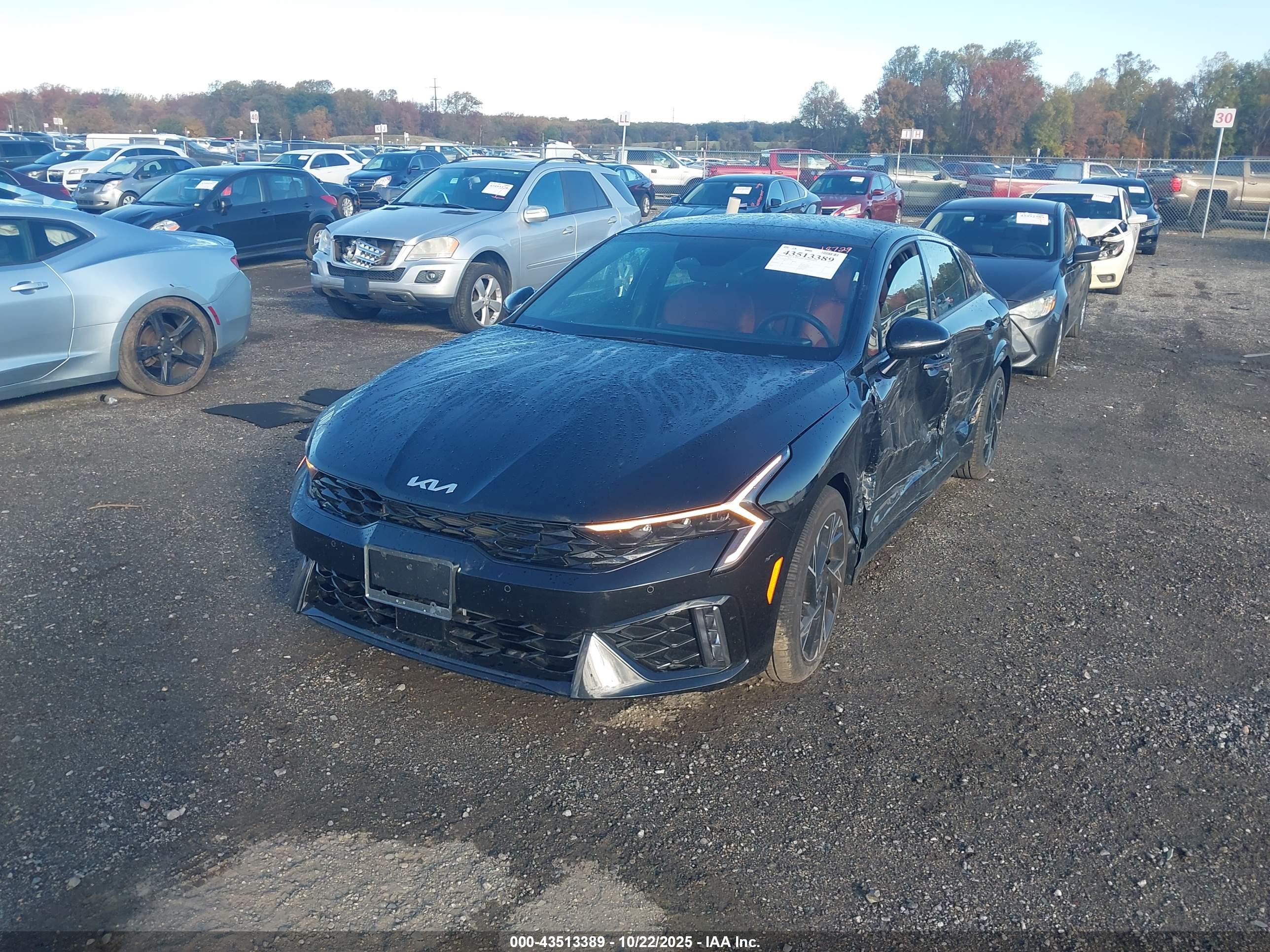 KIA K5 image 2