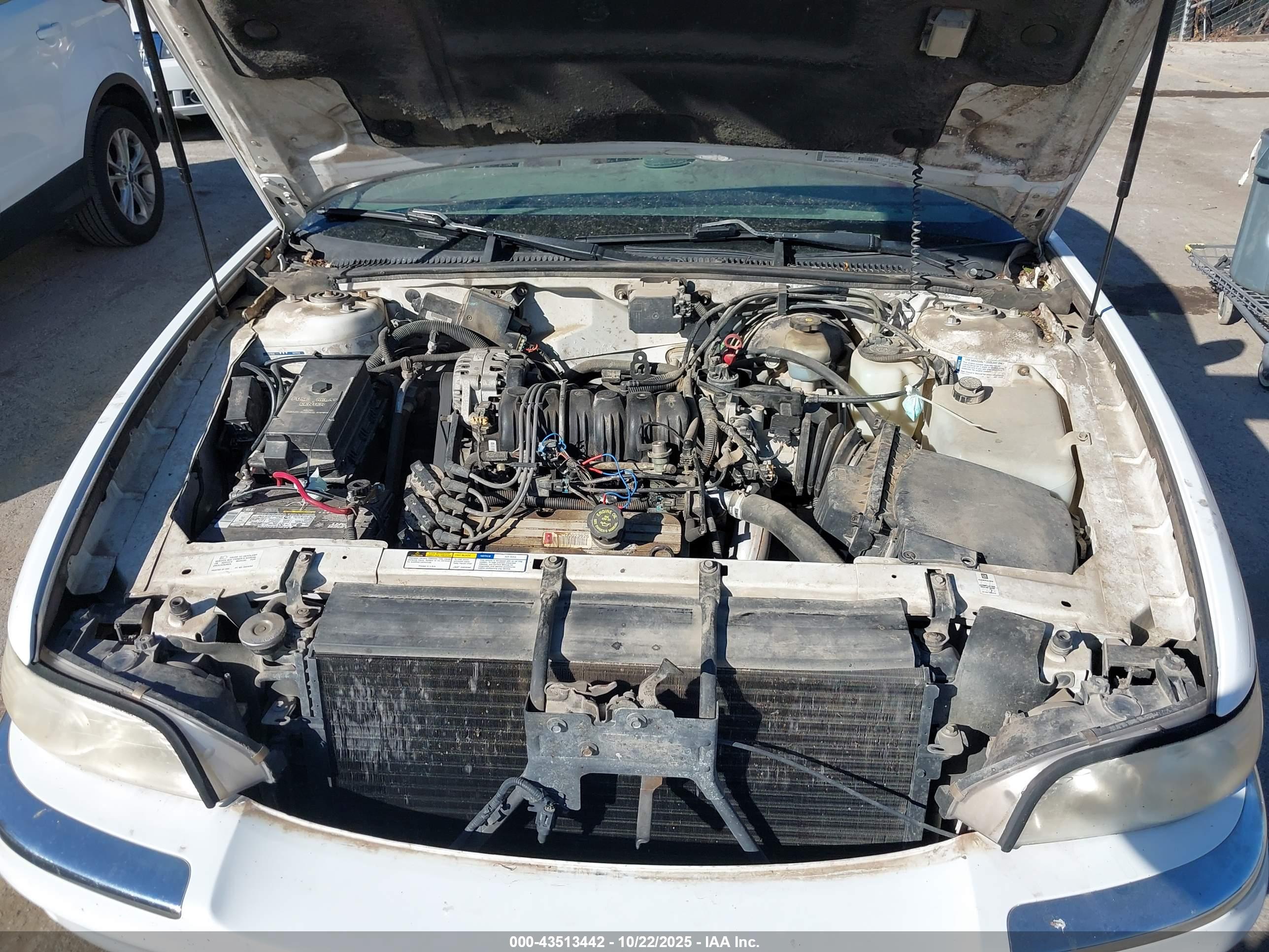 BUICK PARK image 10