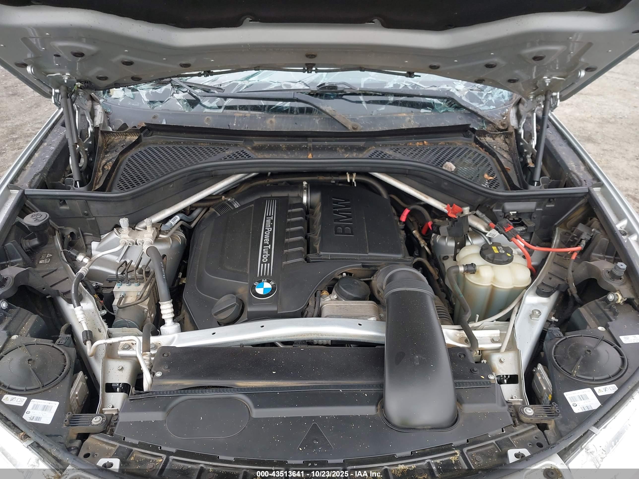 BMW X5 image 10