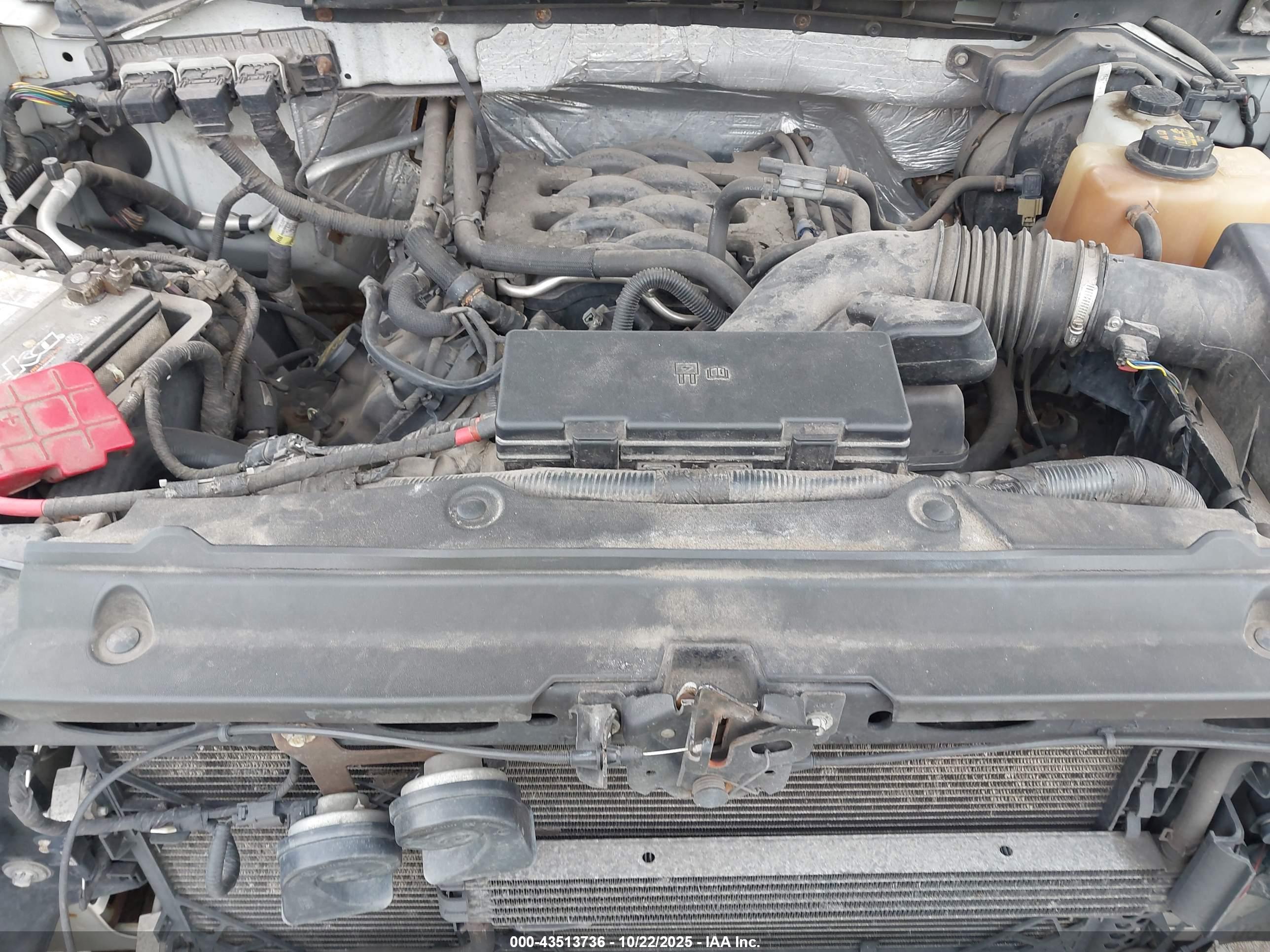 FORD F-150 image 10