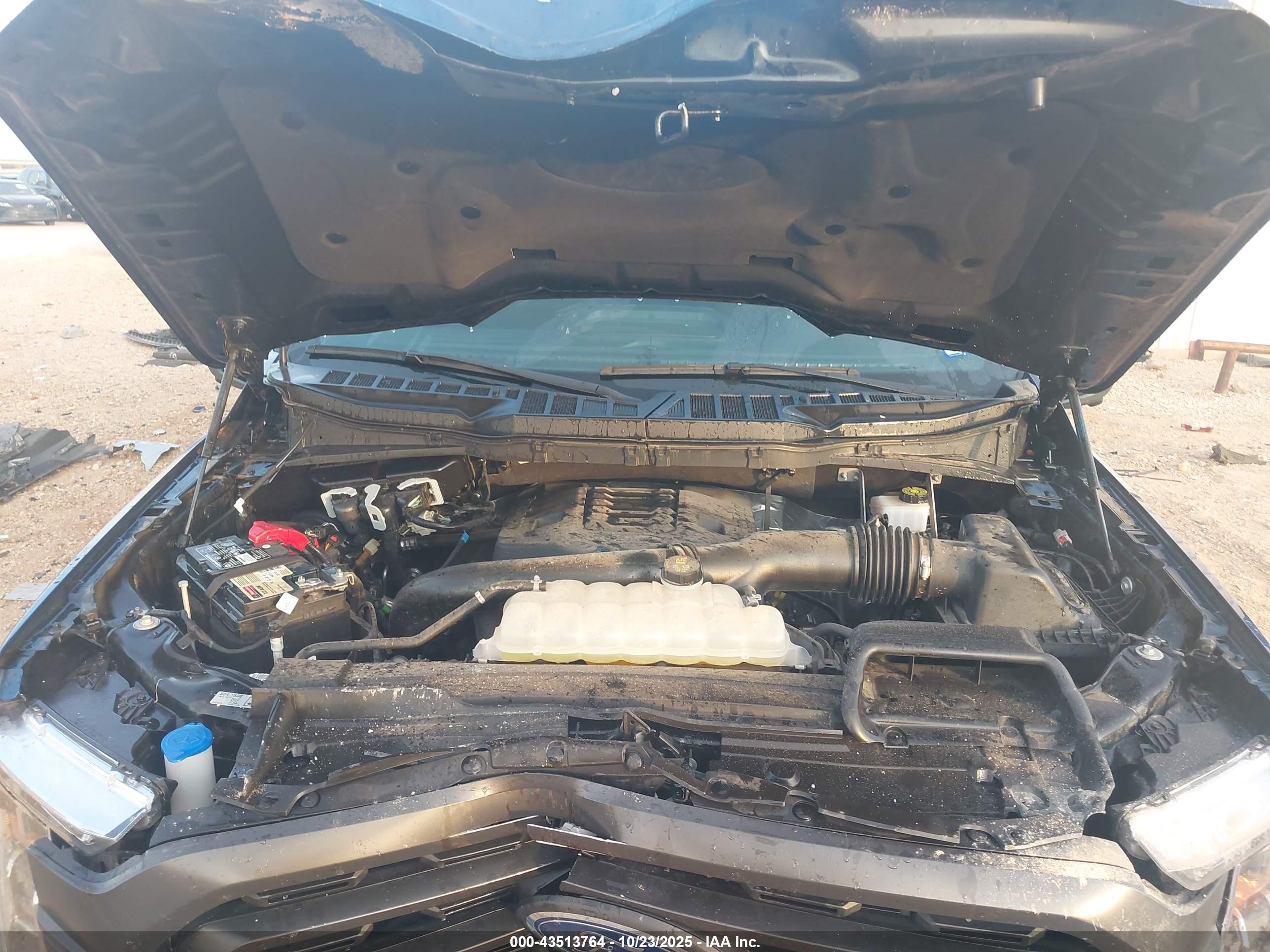 FORD F-150 image 10