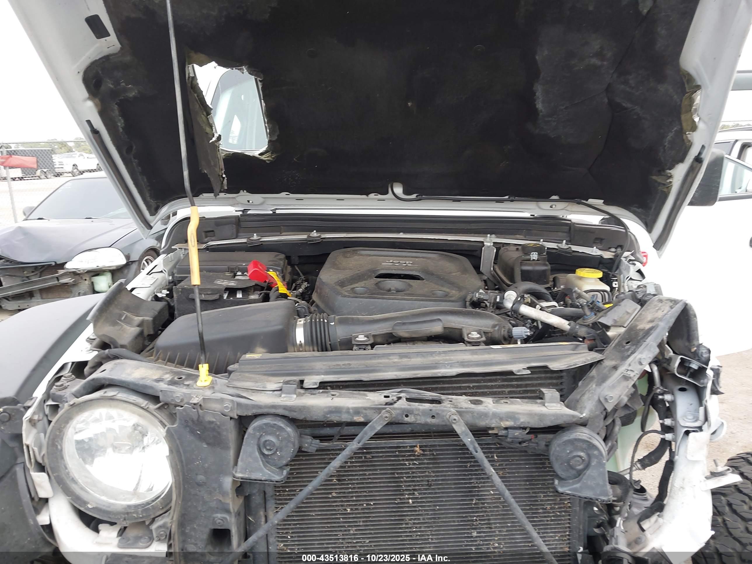 JEEP WRANGLER image 10