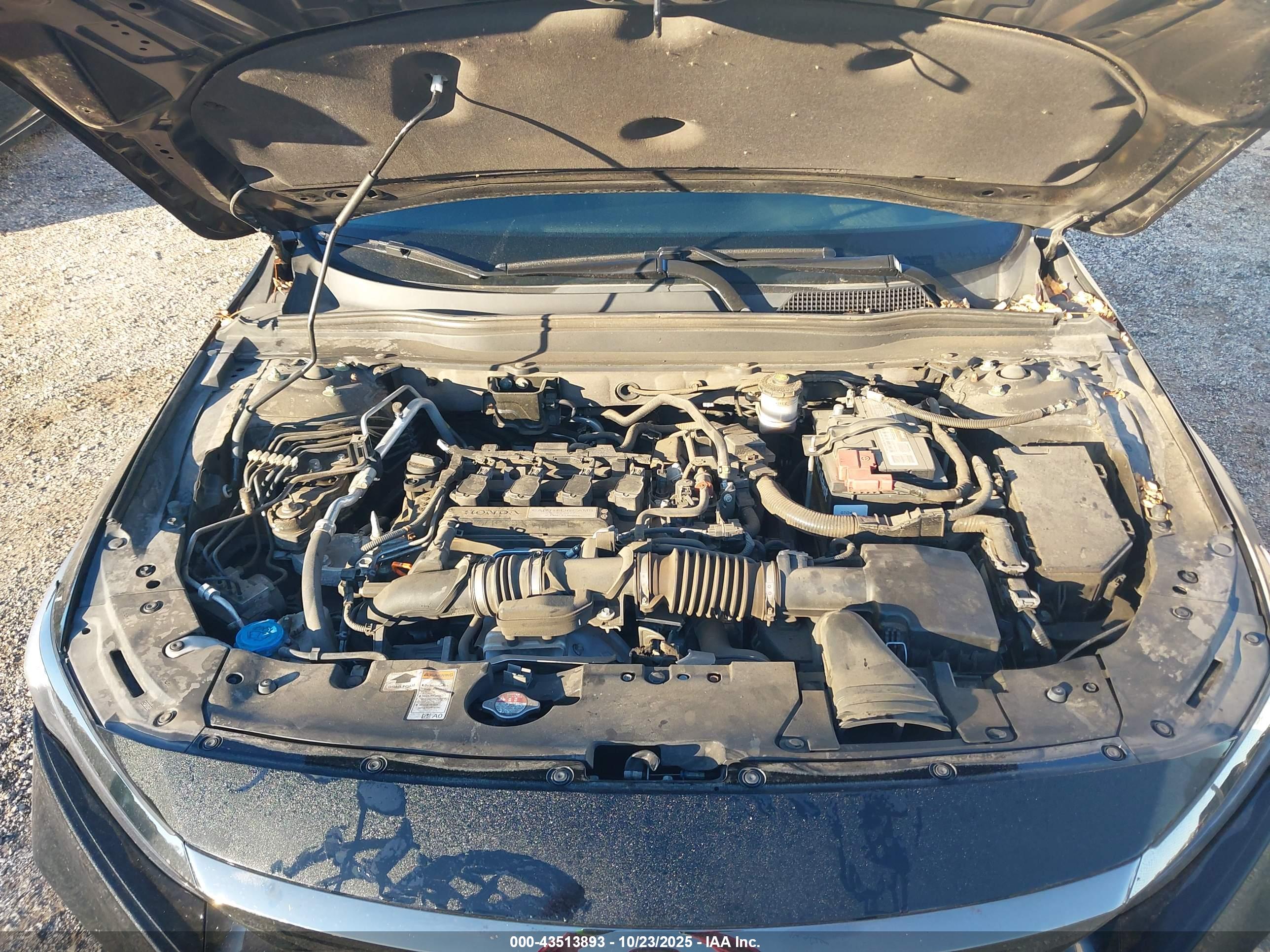 HONDA ACCORD image 10