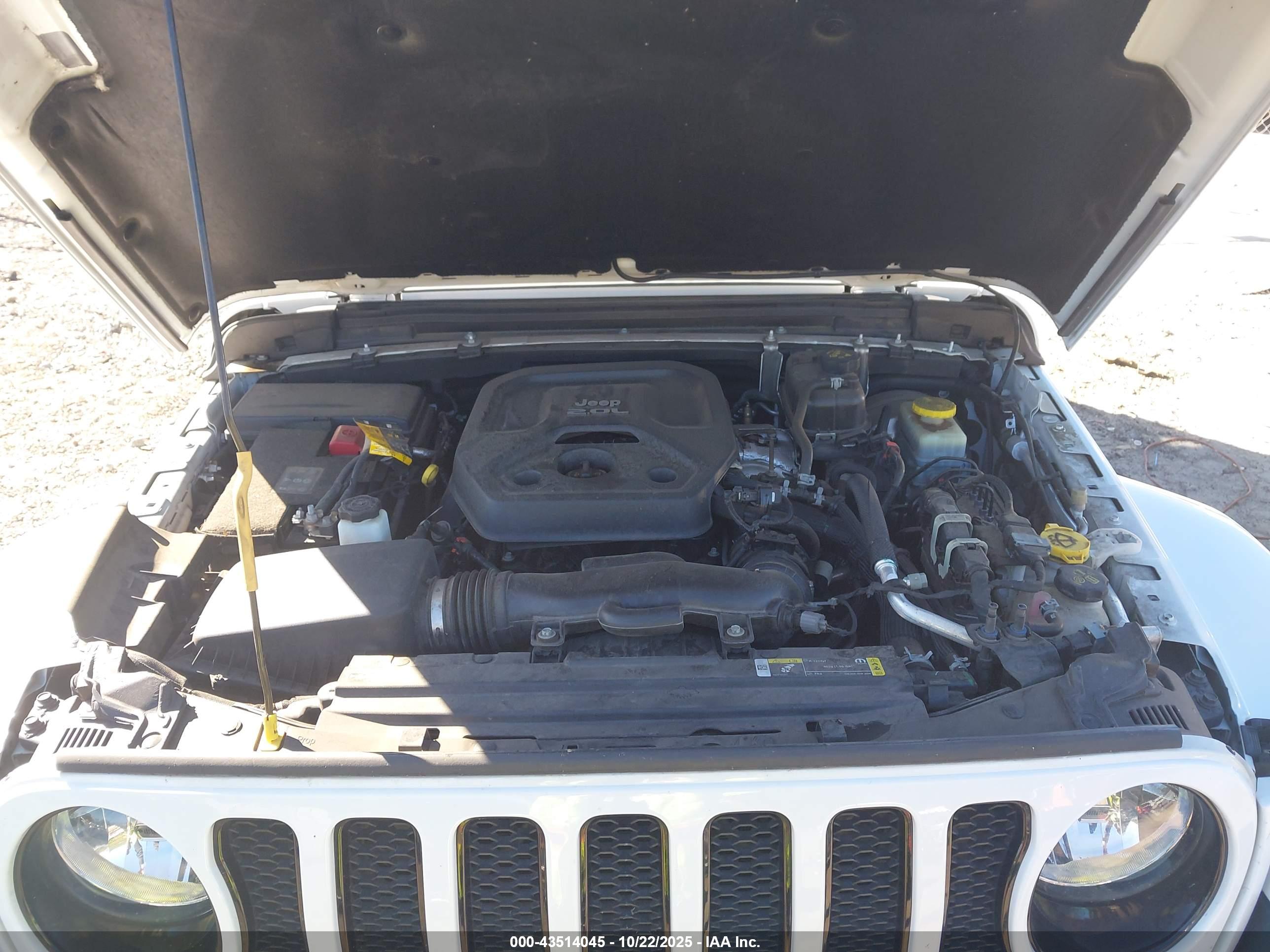 JEEP WRANGLER image 10