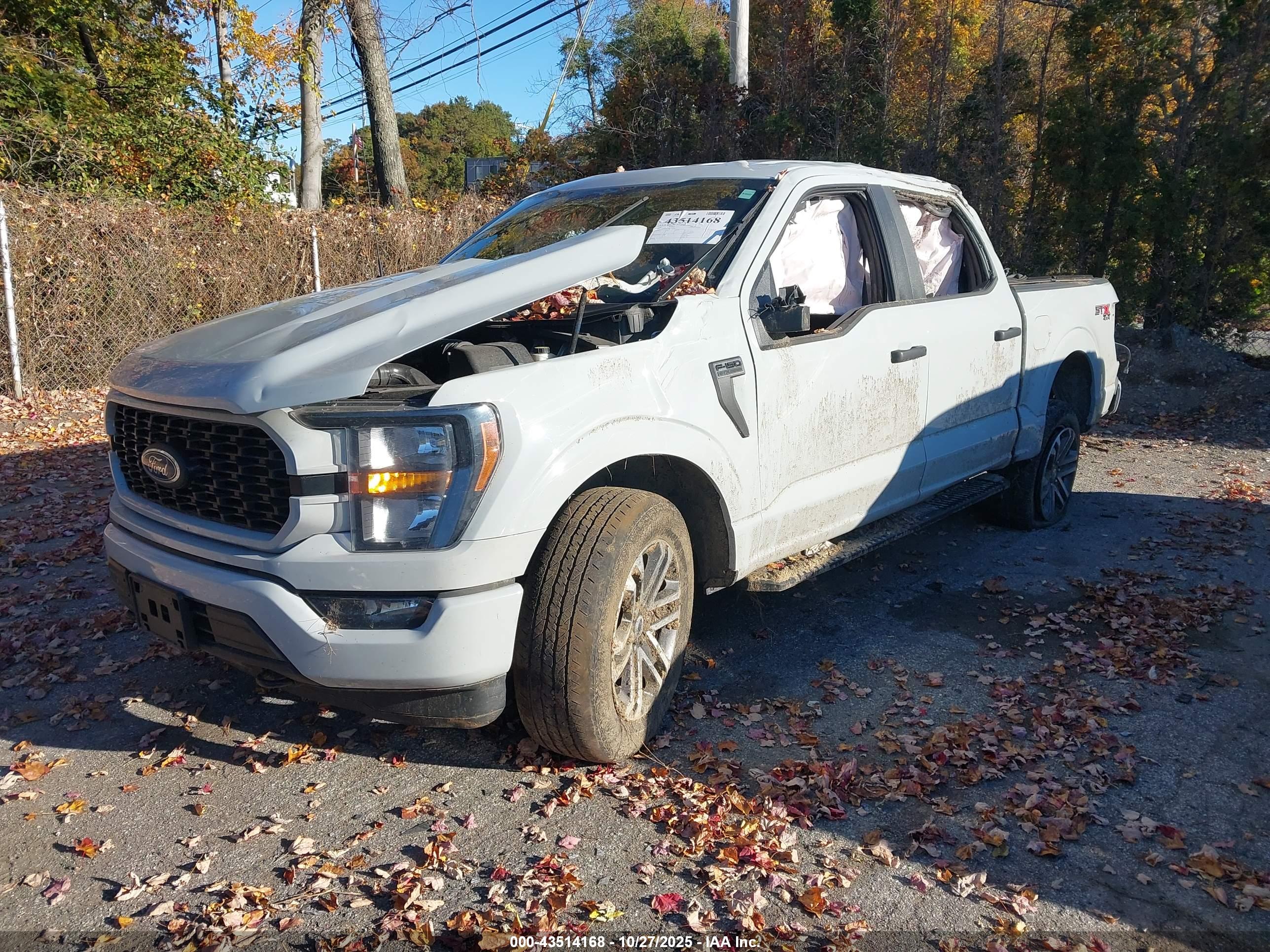 FORD F-150 image 2