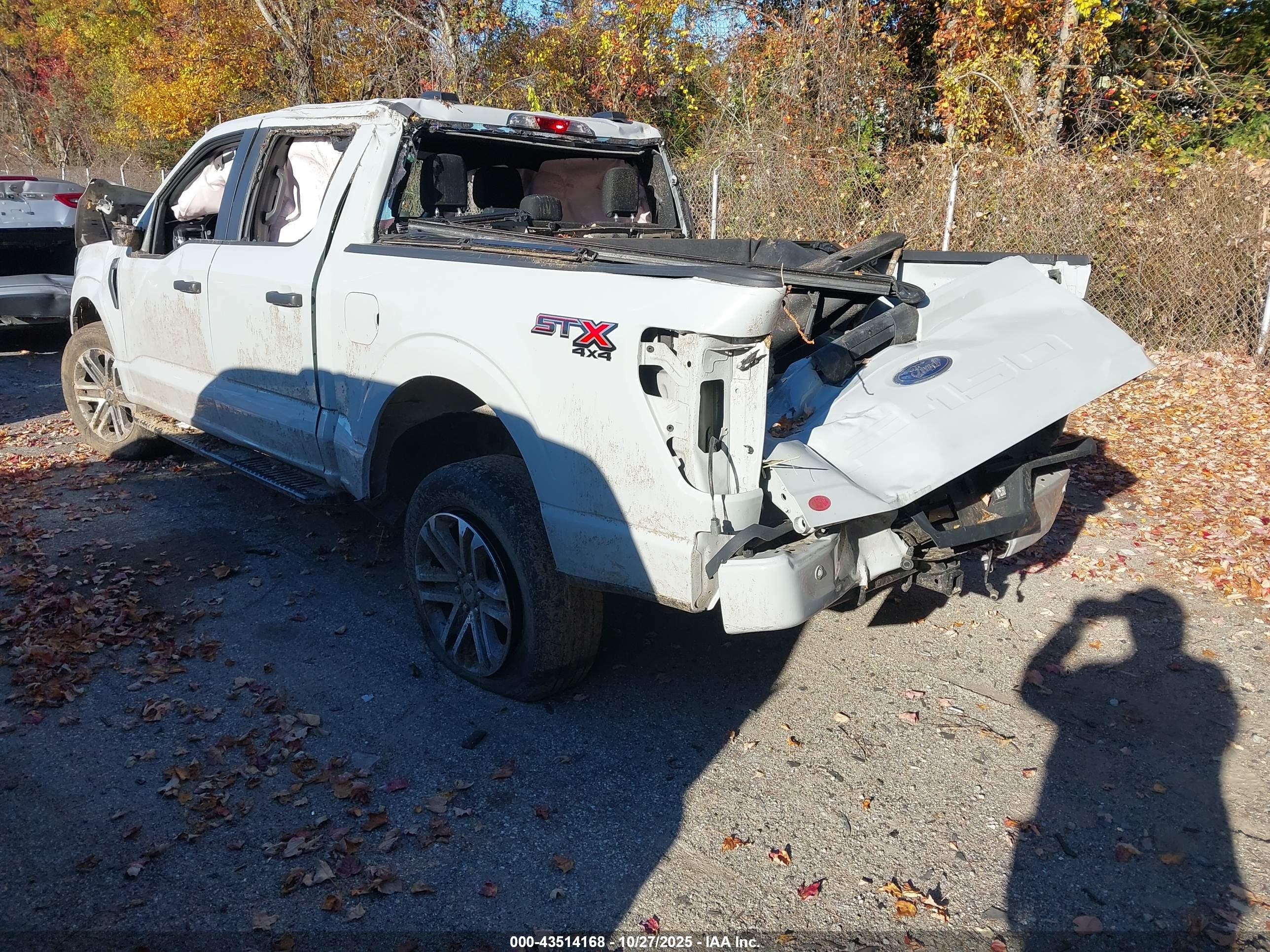 FORD F-150 image 3