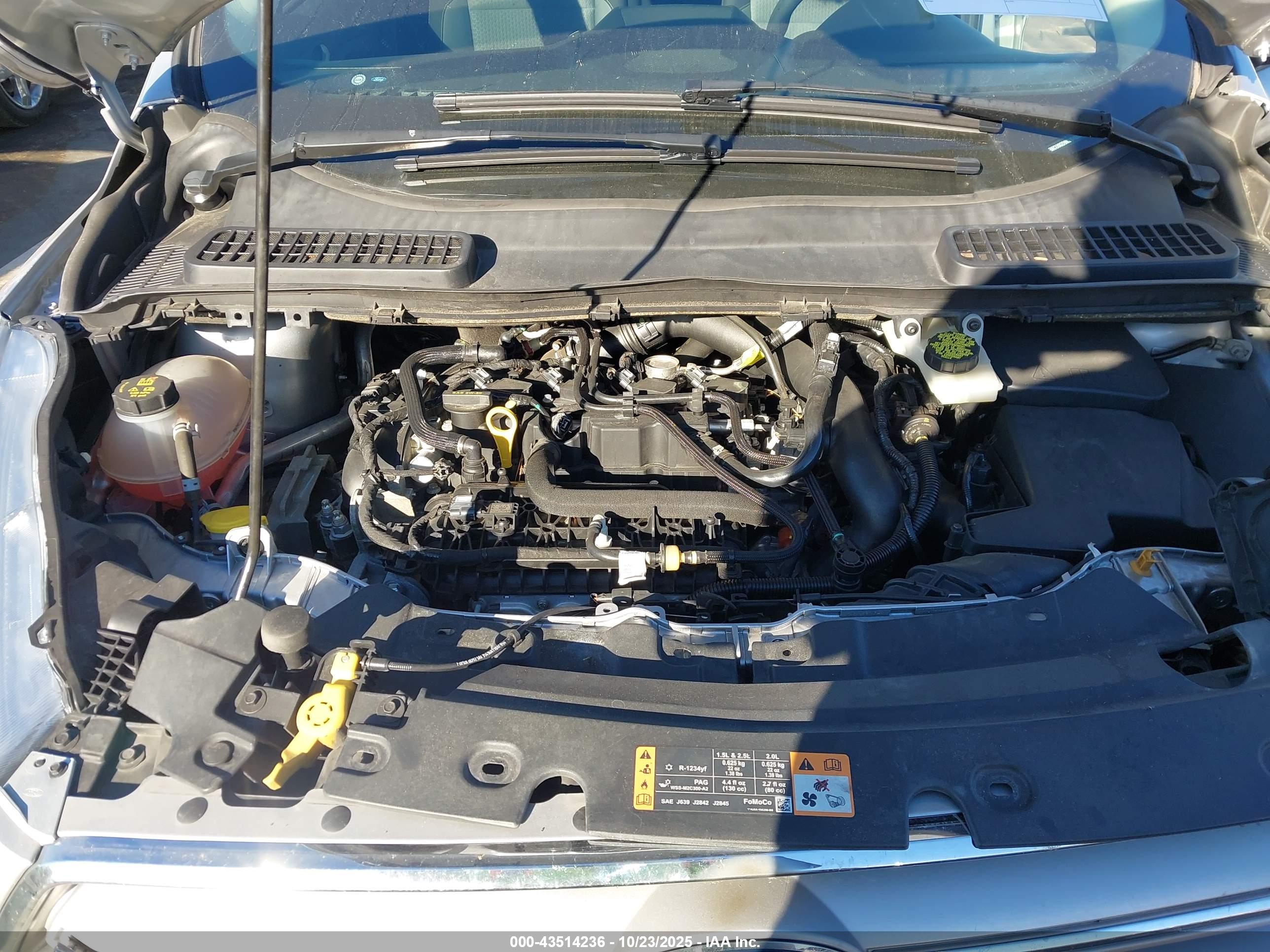 FORD ESCAPE image 10