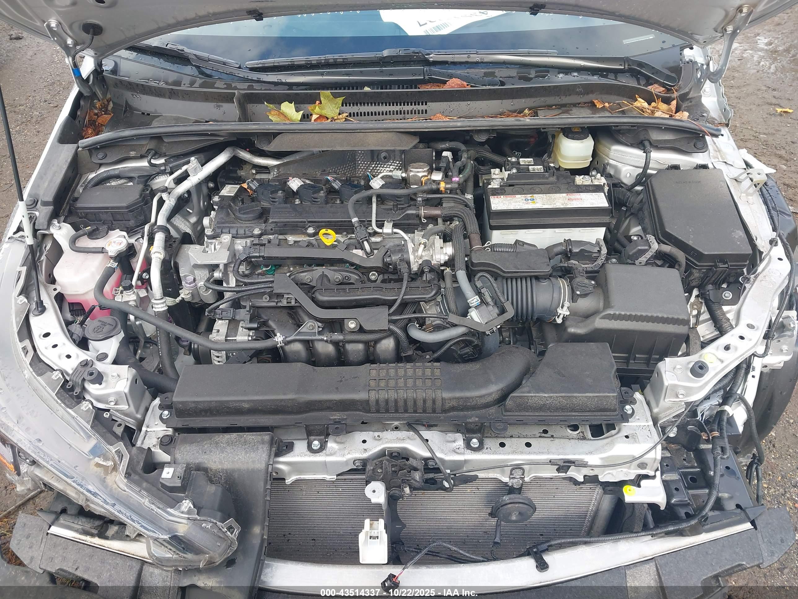 TOYOTA COROLLA image 10