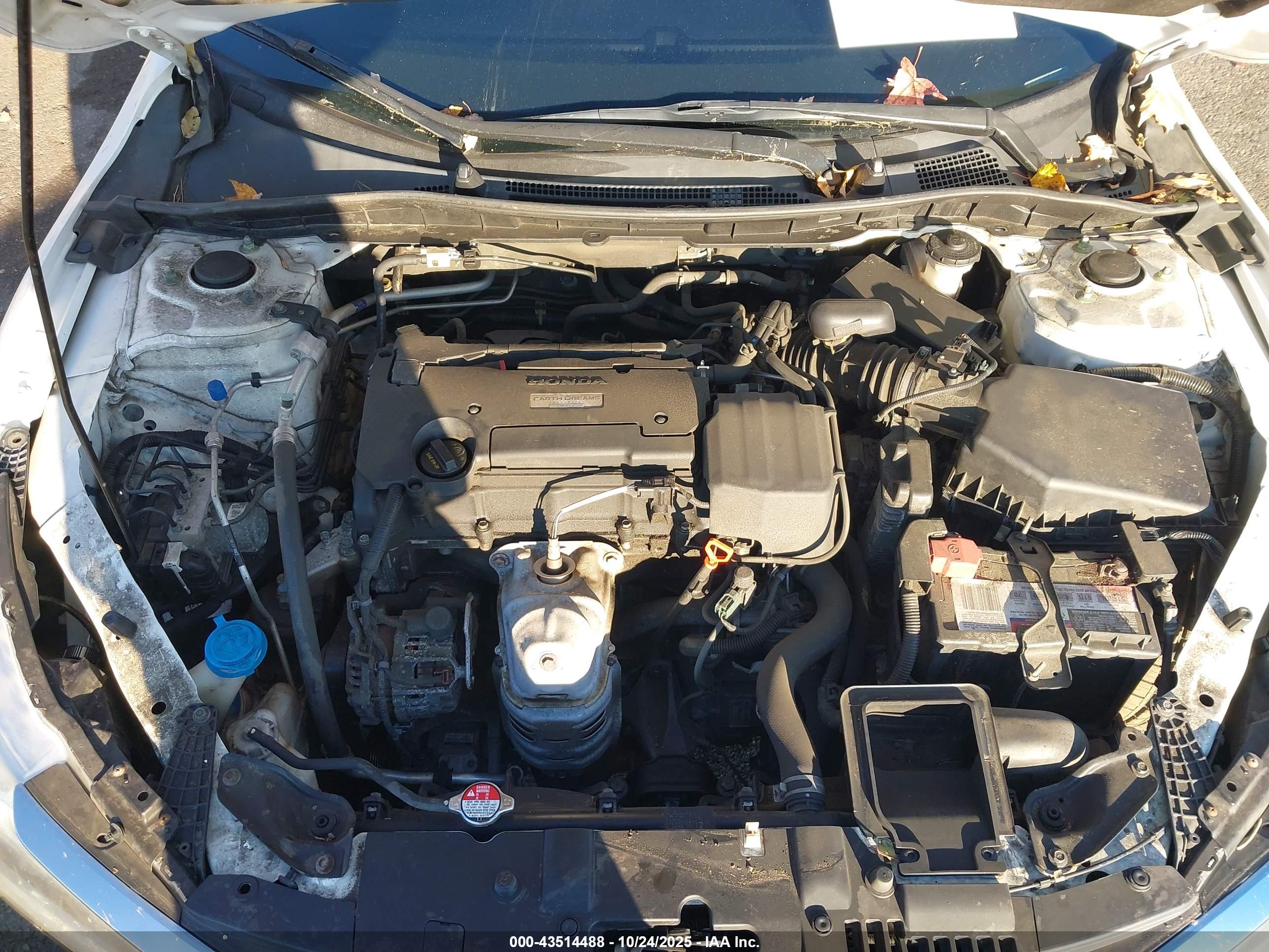 HONDA ACCORD image 10