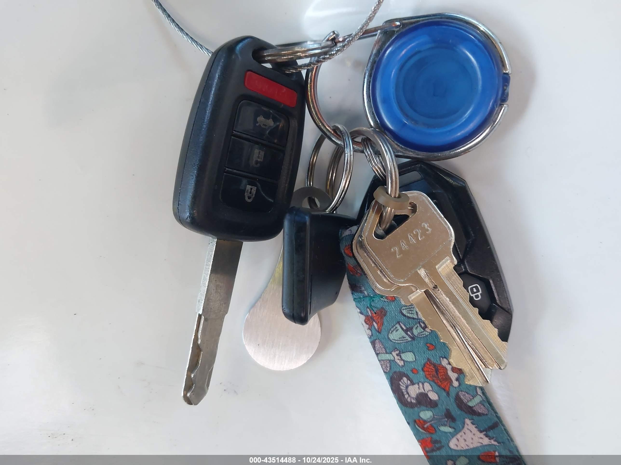 HONDA ACCORD image 11