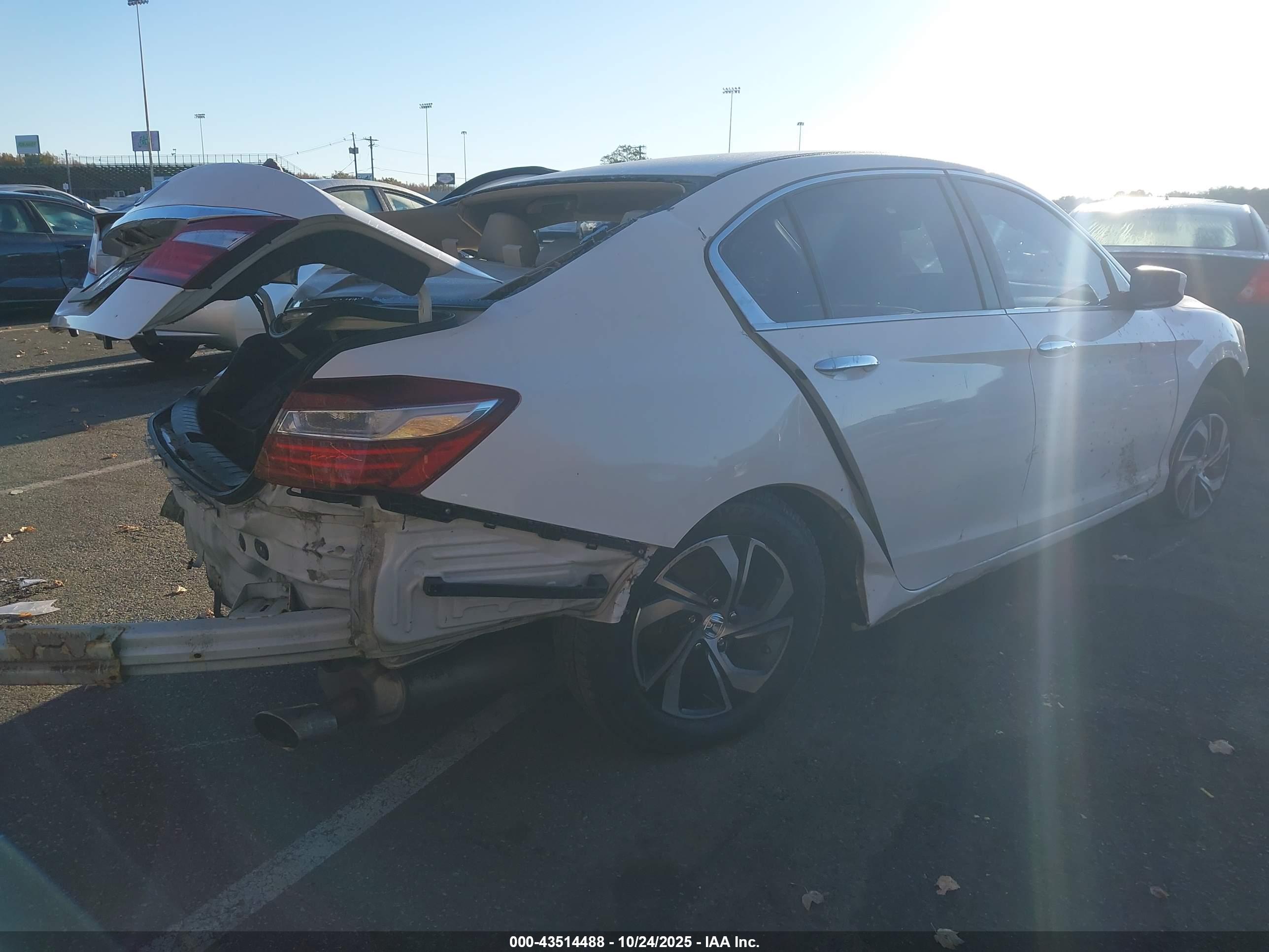 HONDA ACCORD image 4
