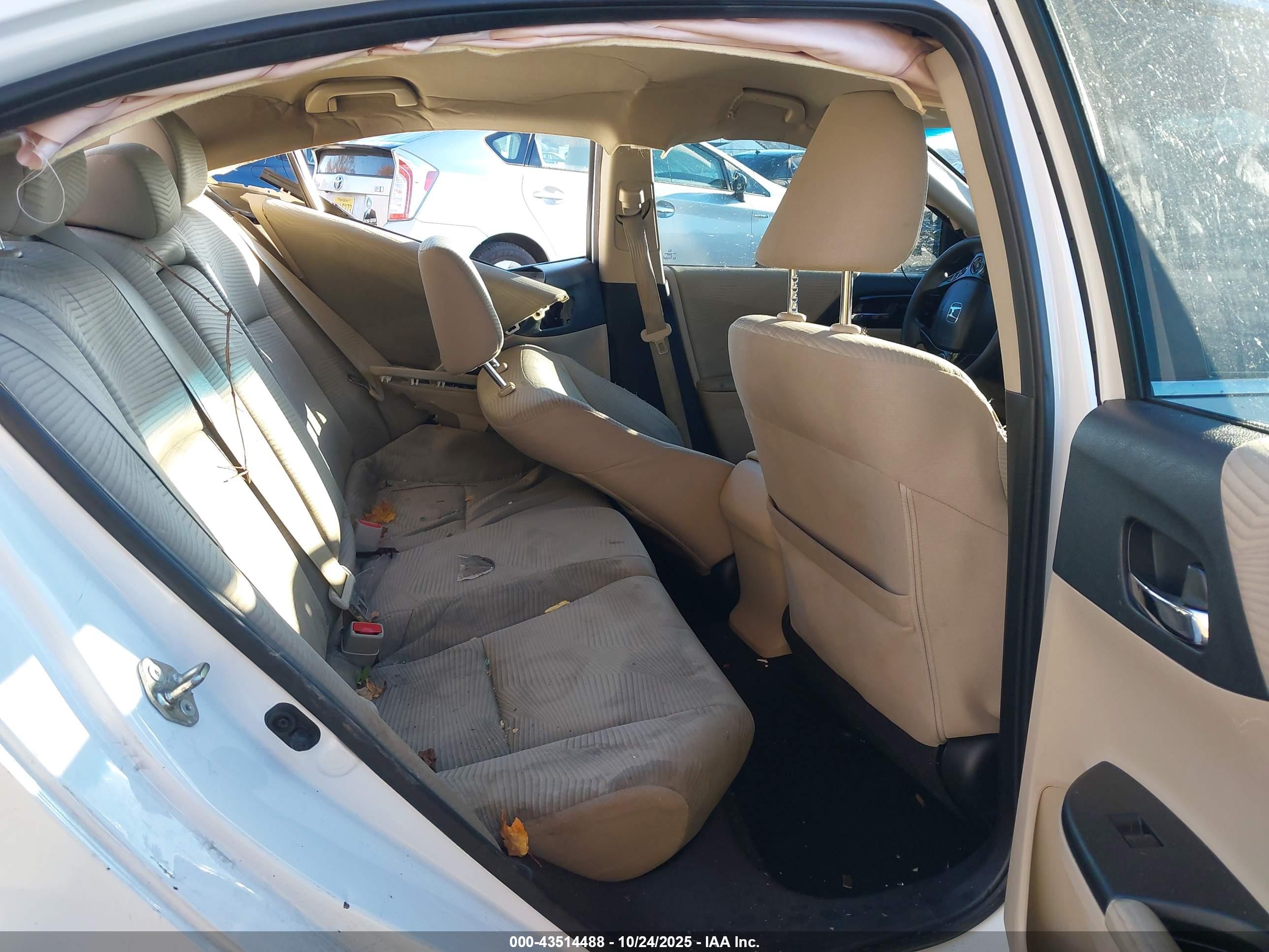 HONDA ACCORD image 8