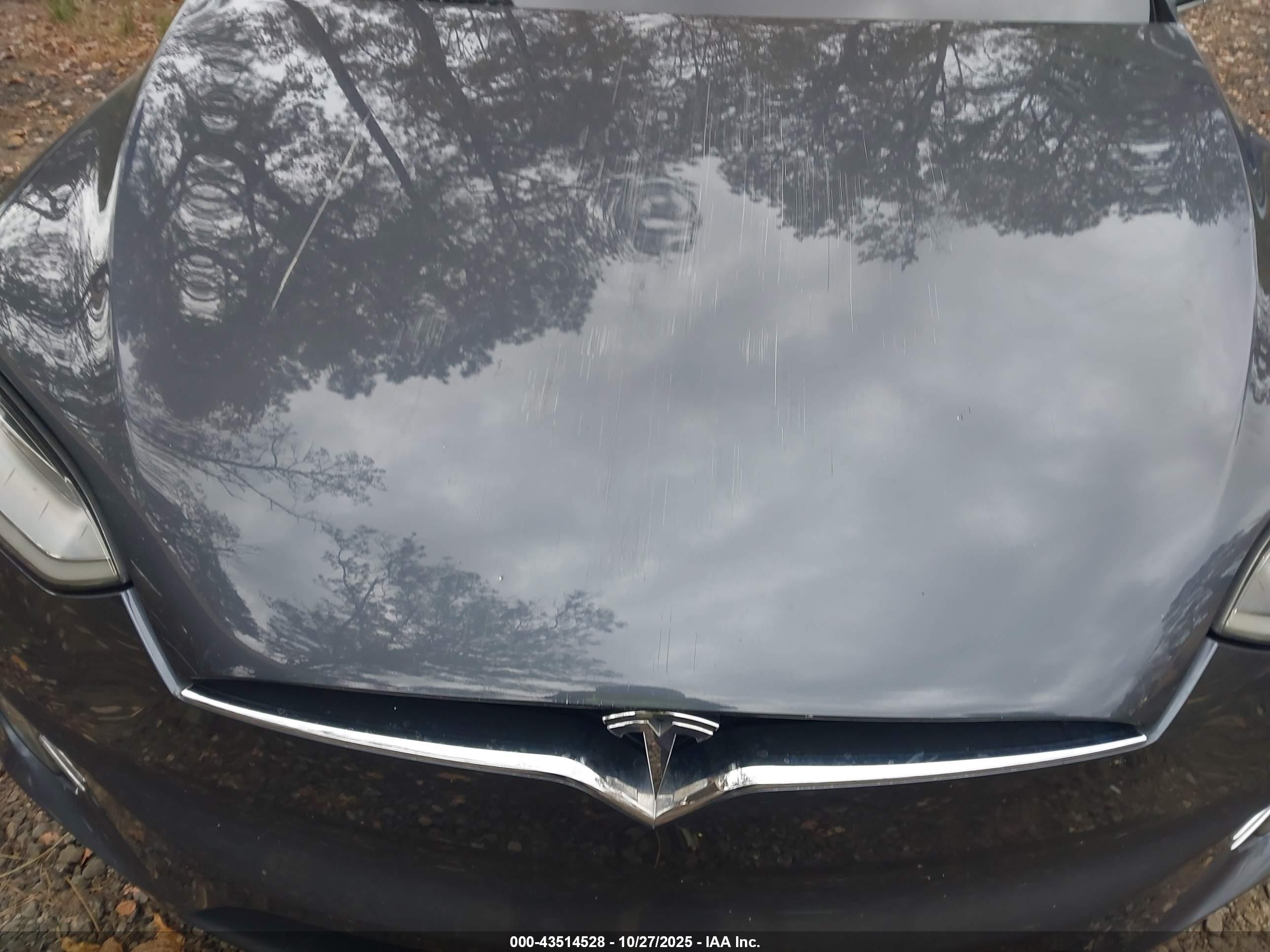 TESLA MODEL image 10