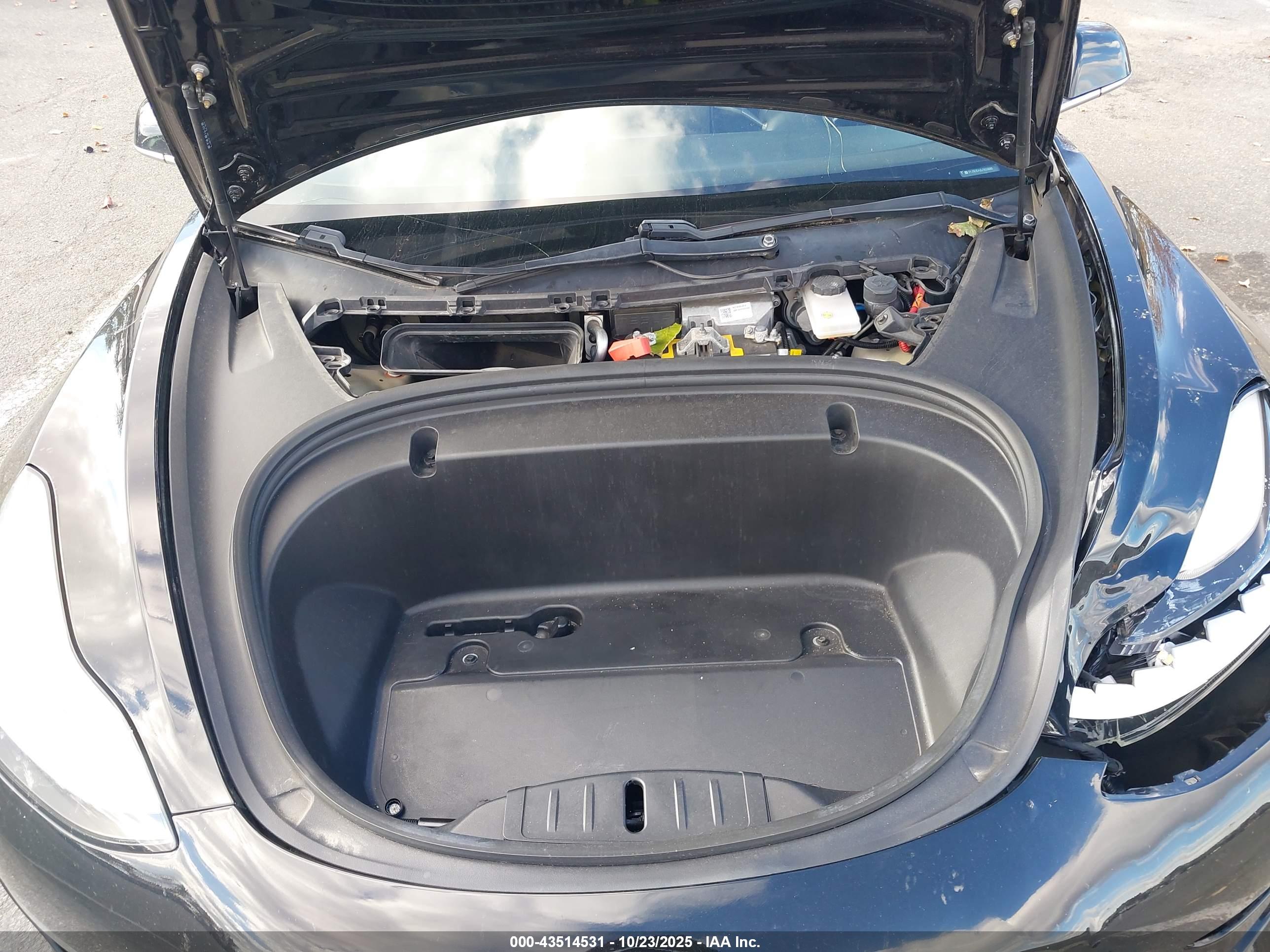 TESLA MODEL image 10