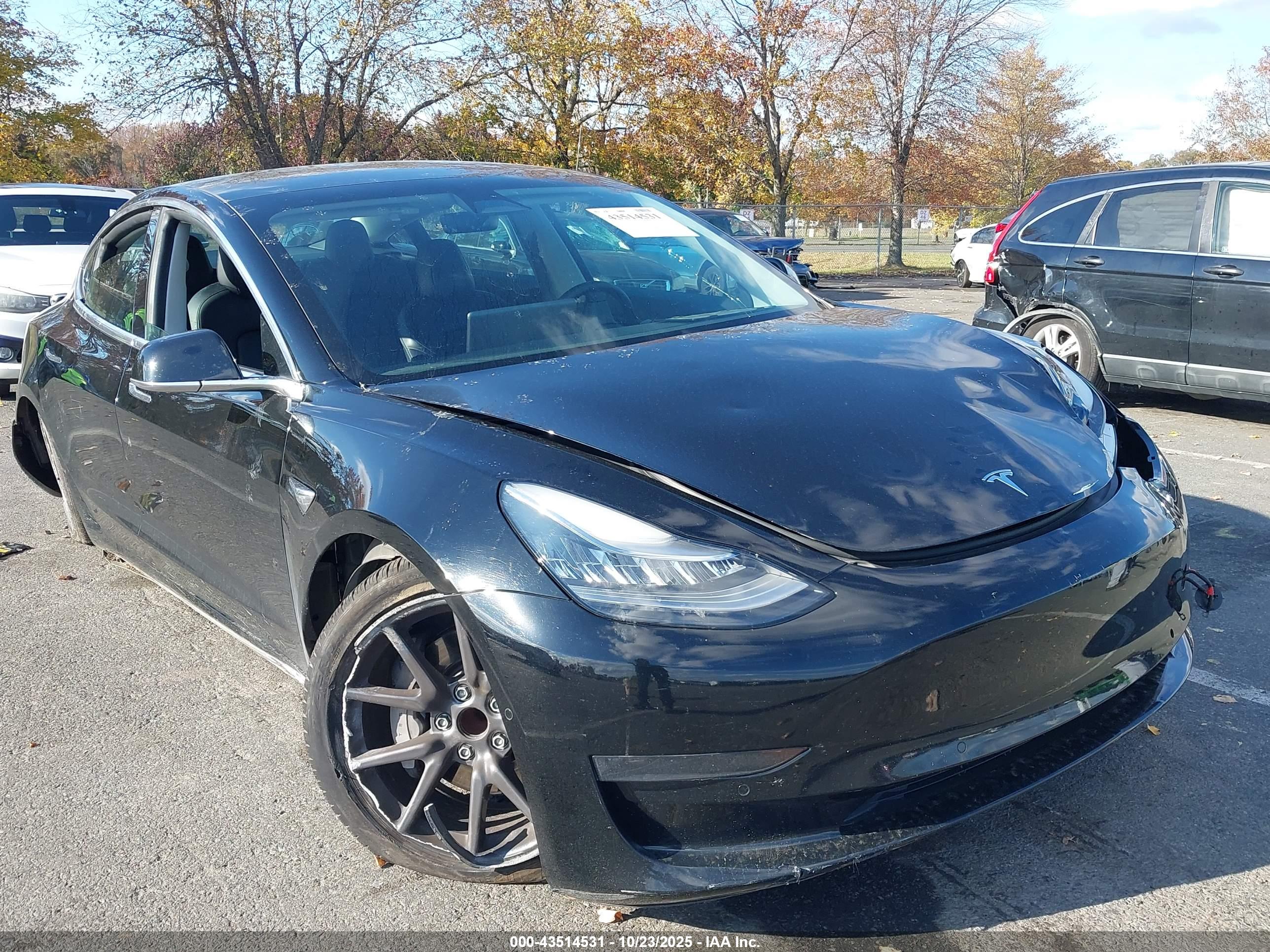 TESLA MODEL image 6